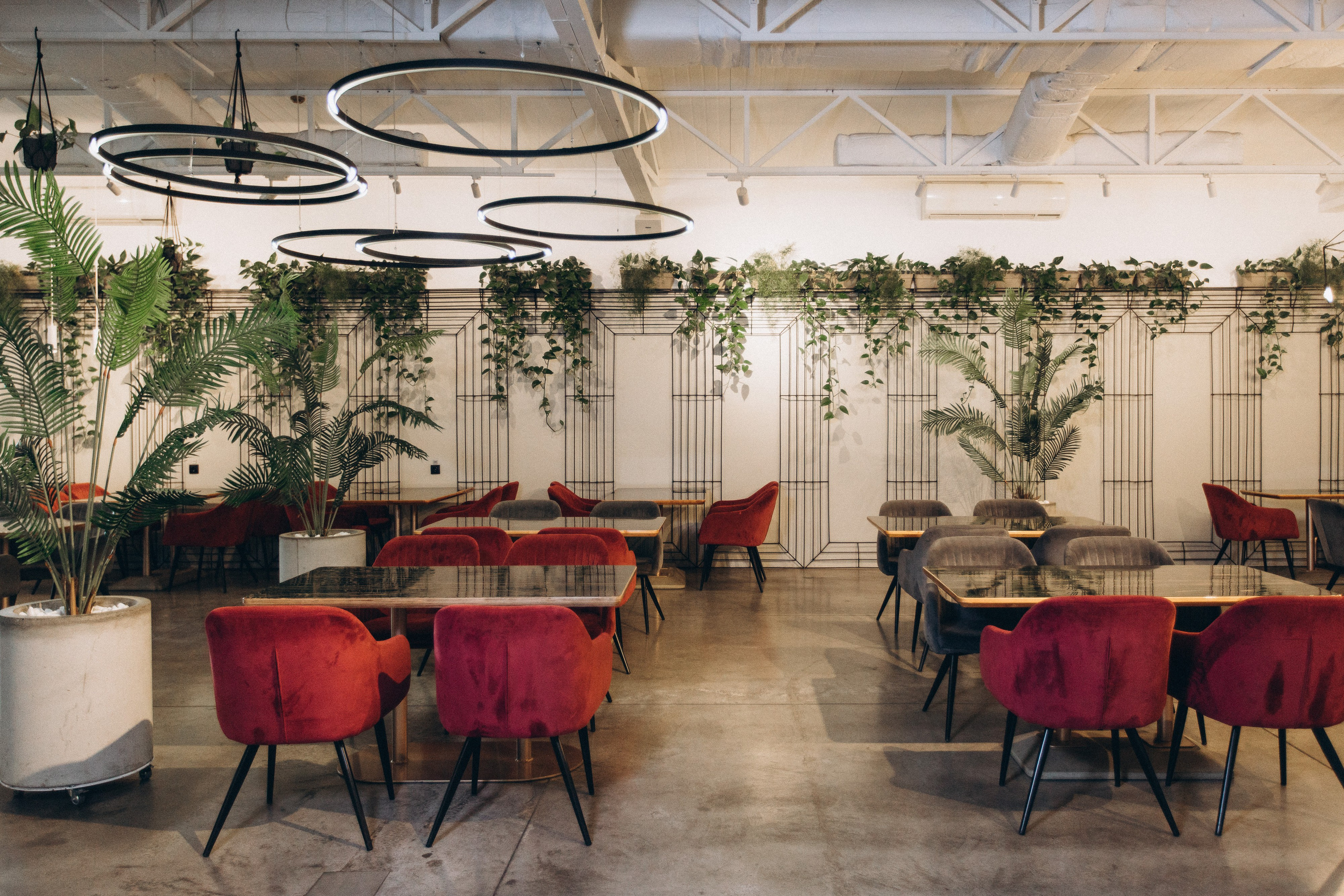 Мережа ресторанів Classic. Ірина Терещук