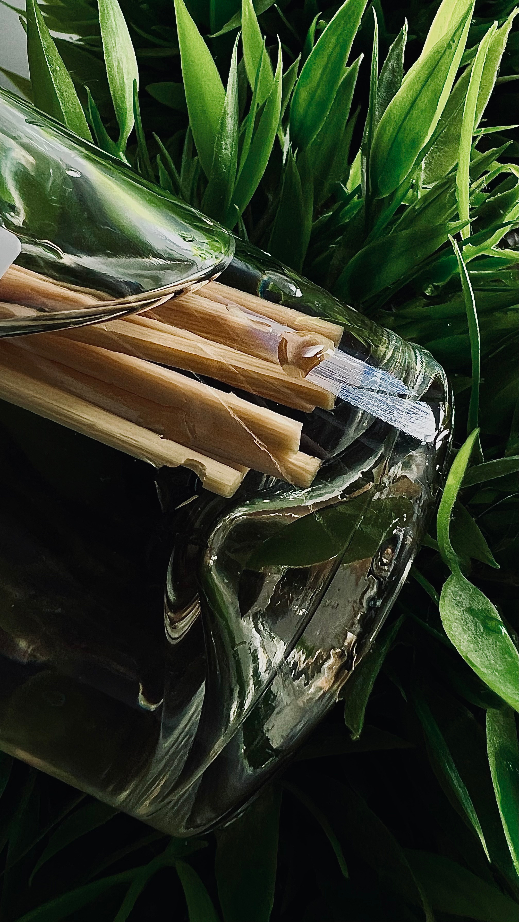 Australien. MARIA RUFF PHOTOGRAPHY