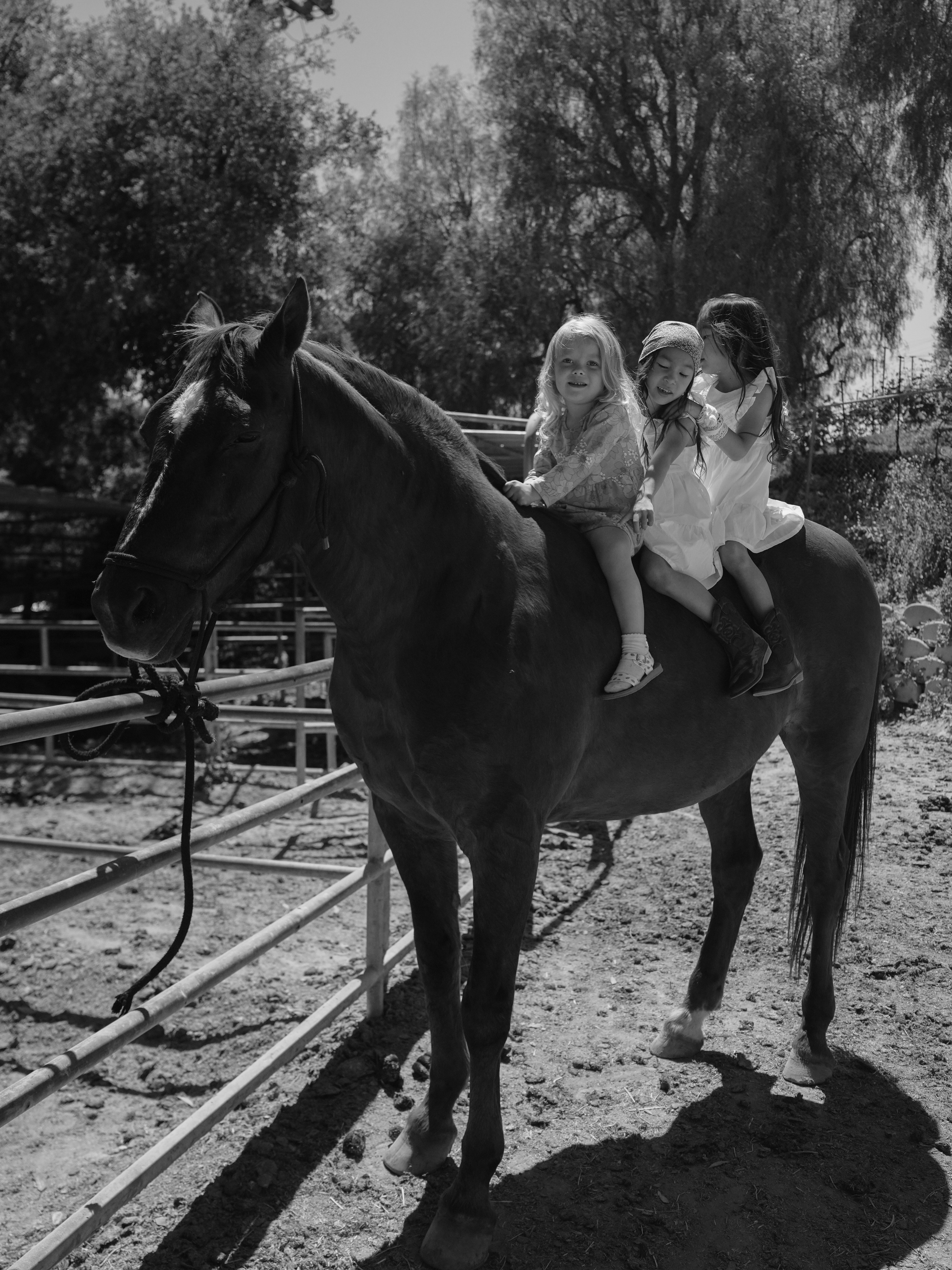 Children with horses. Фотограф и видеограф в США (и по всему миру) — Татьяна Иванова