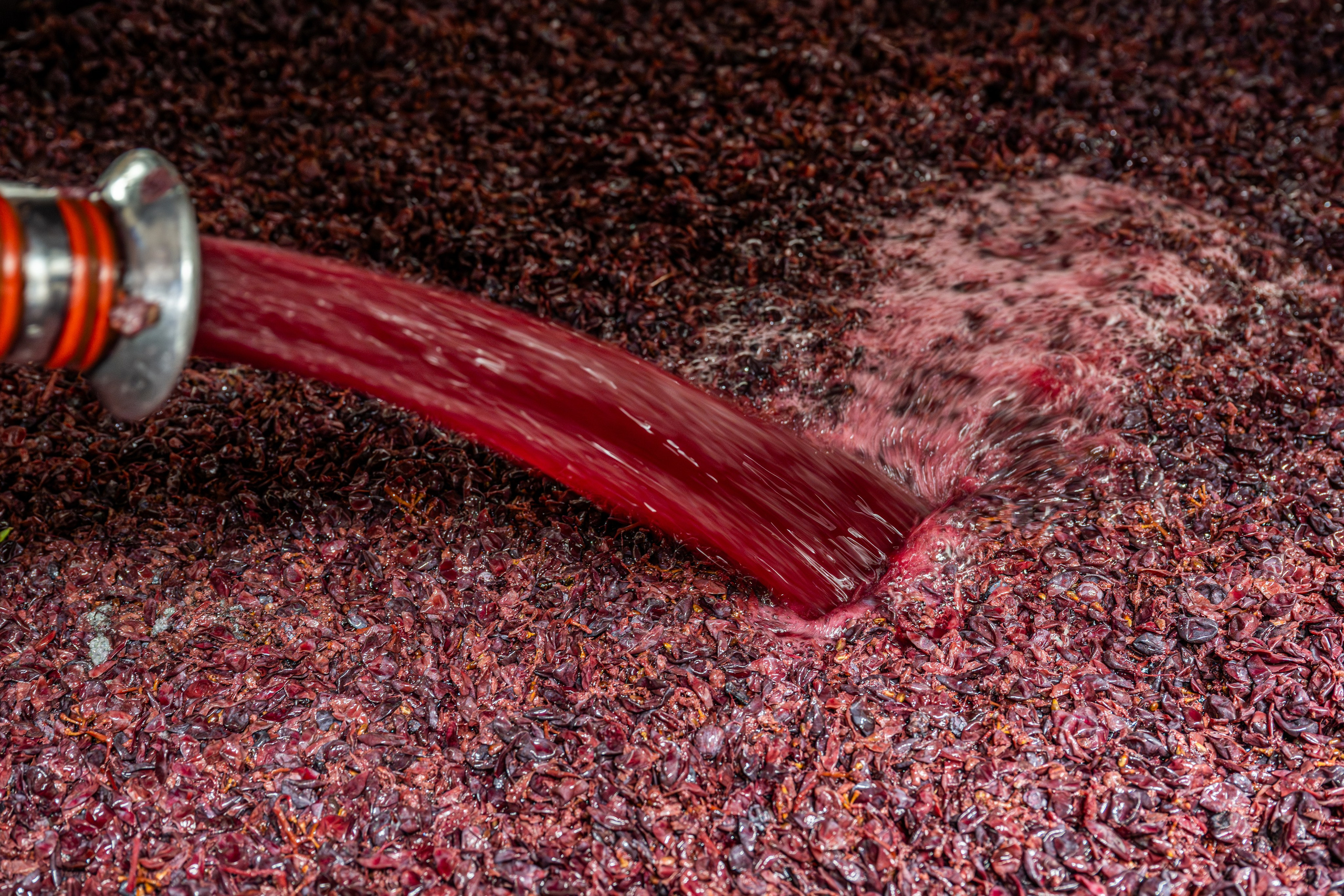 Cantine Boasso Serralunga. “Gianmaria Coscia fotografo per passione”