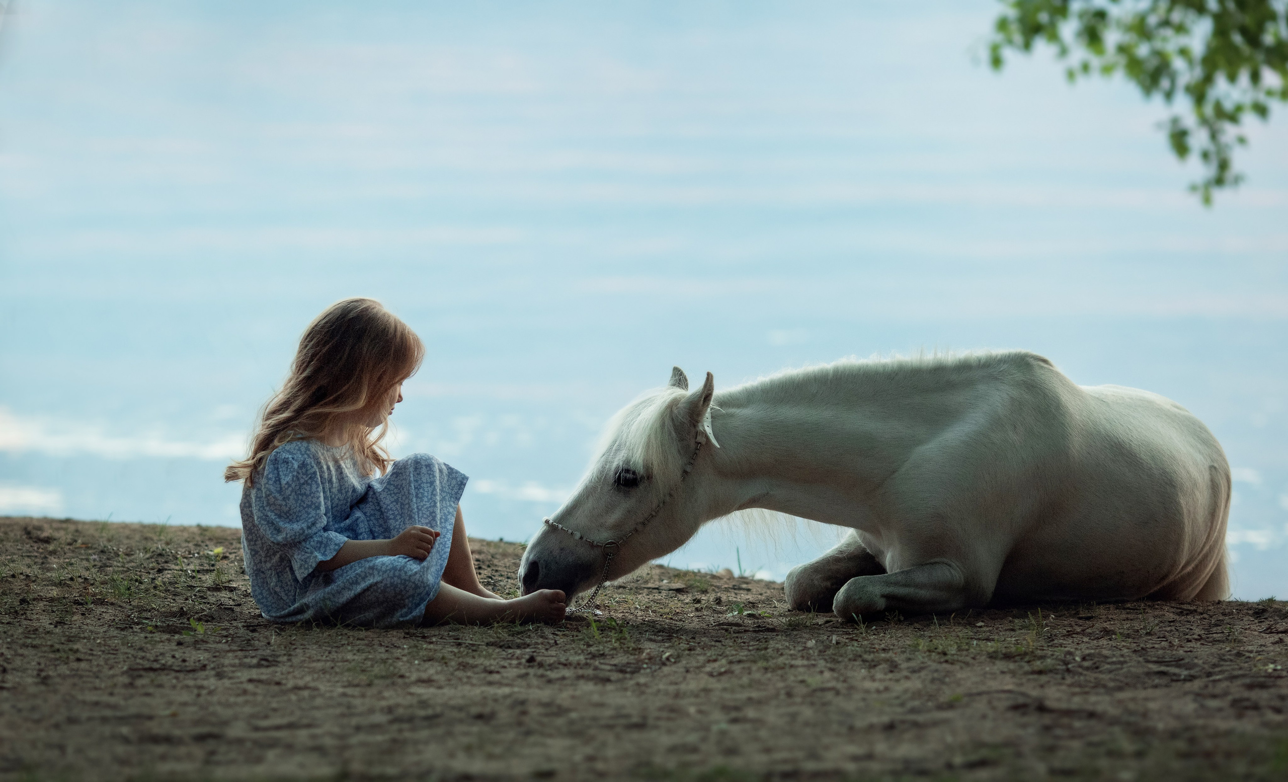 Дети. Семейный и детский фотограф в Варшаве Мила Бобровская