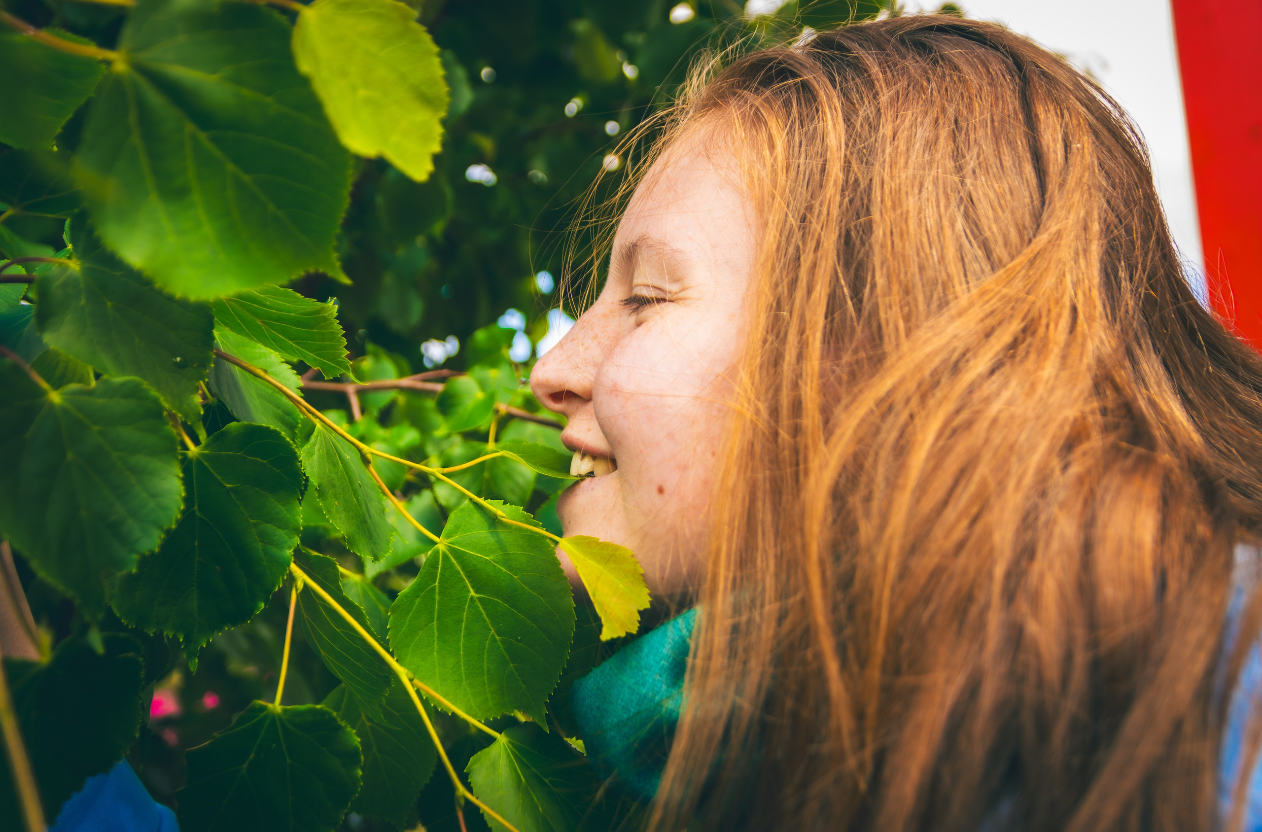 Saaremaa, reis (Nika A.). Nebula 25 — Fotod teie hingele