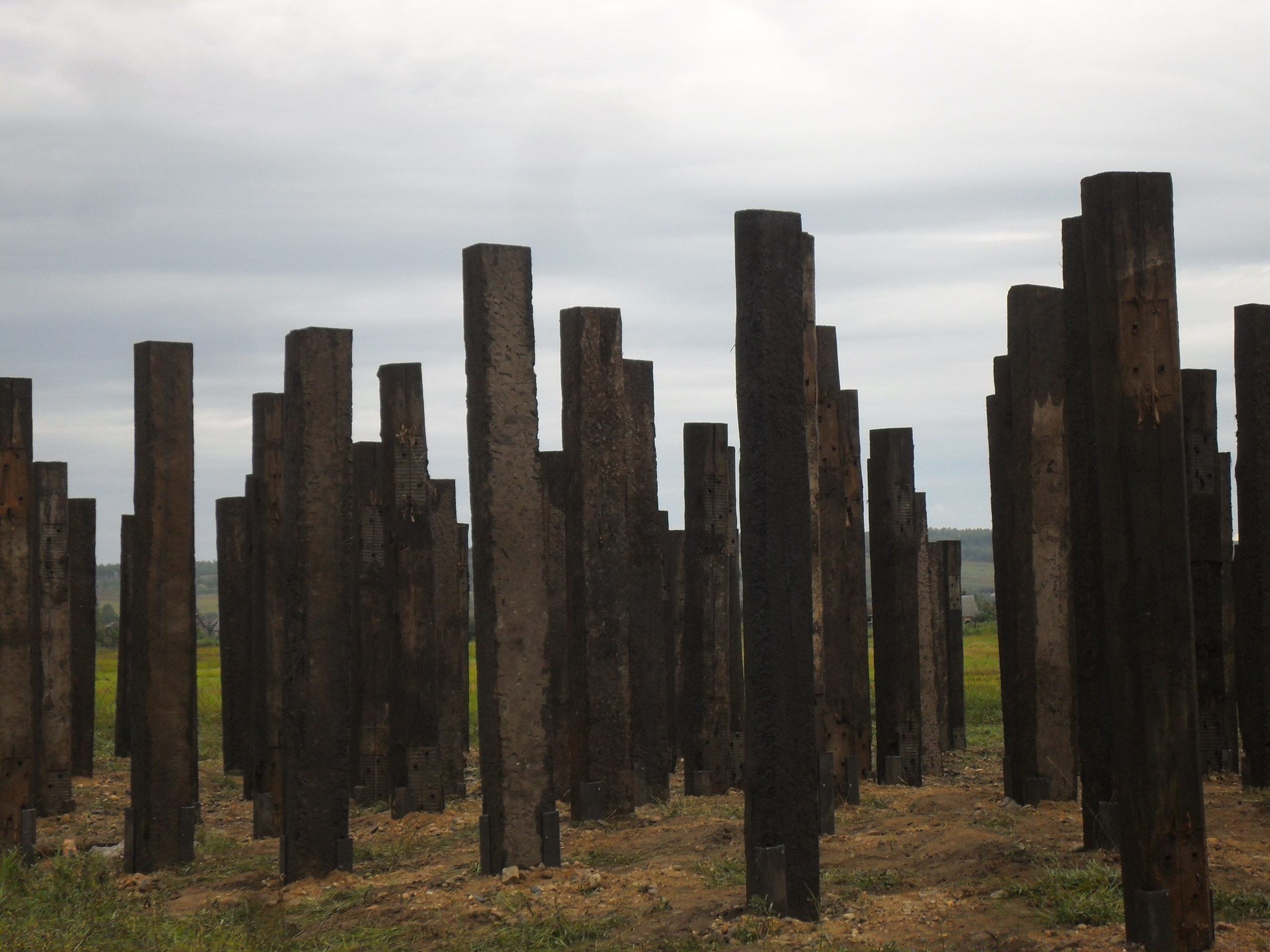 Garden, 2011. Haim Sokol’s artists website