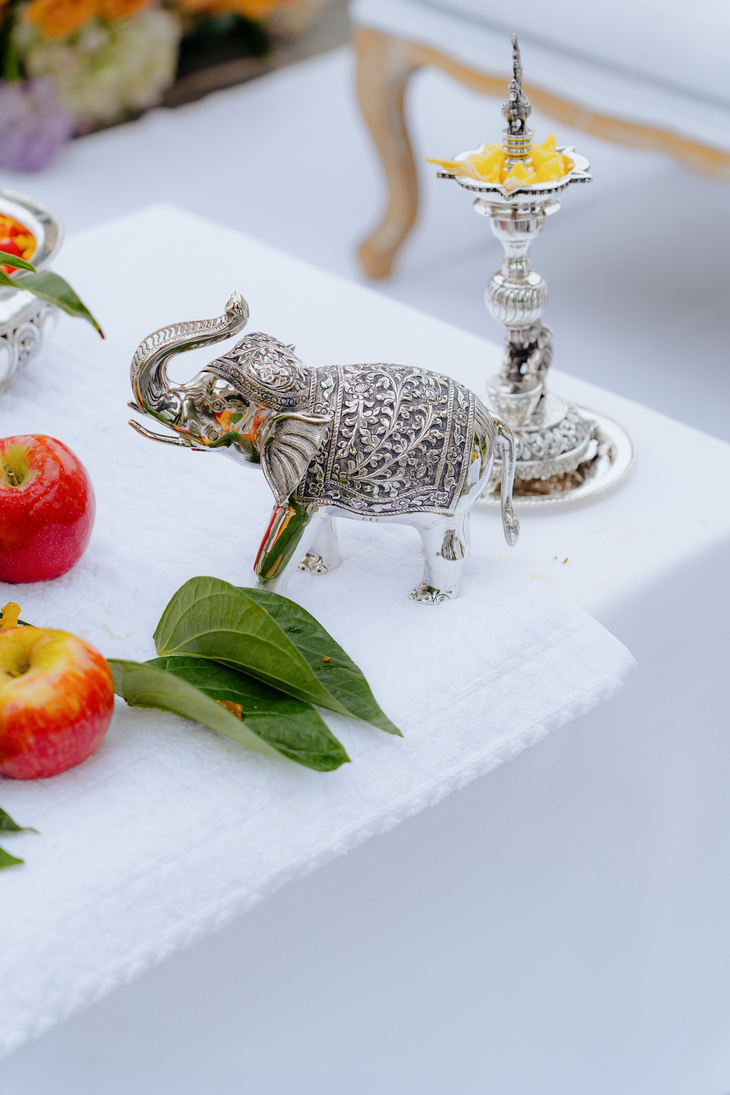 Luxury Indian Wedding Photography Gallery | New York & New Jersey & Florida | Vova Chi. Wedding photographer and videographer New York | New Jersey