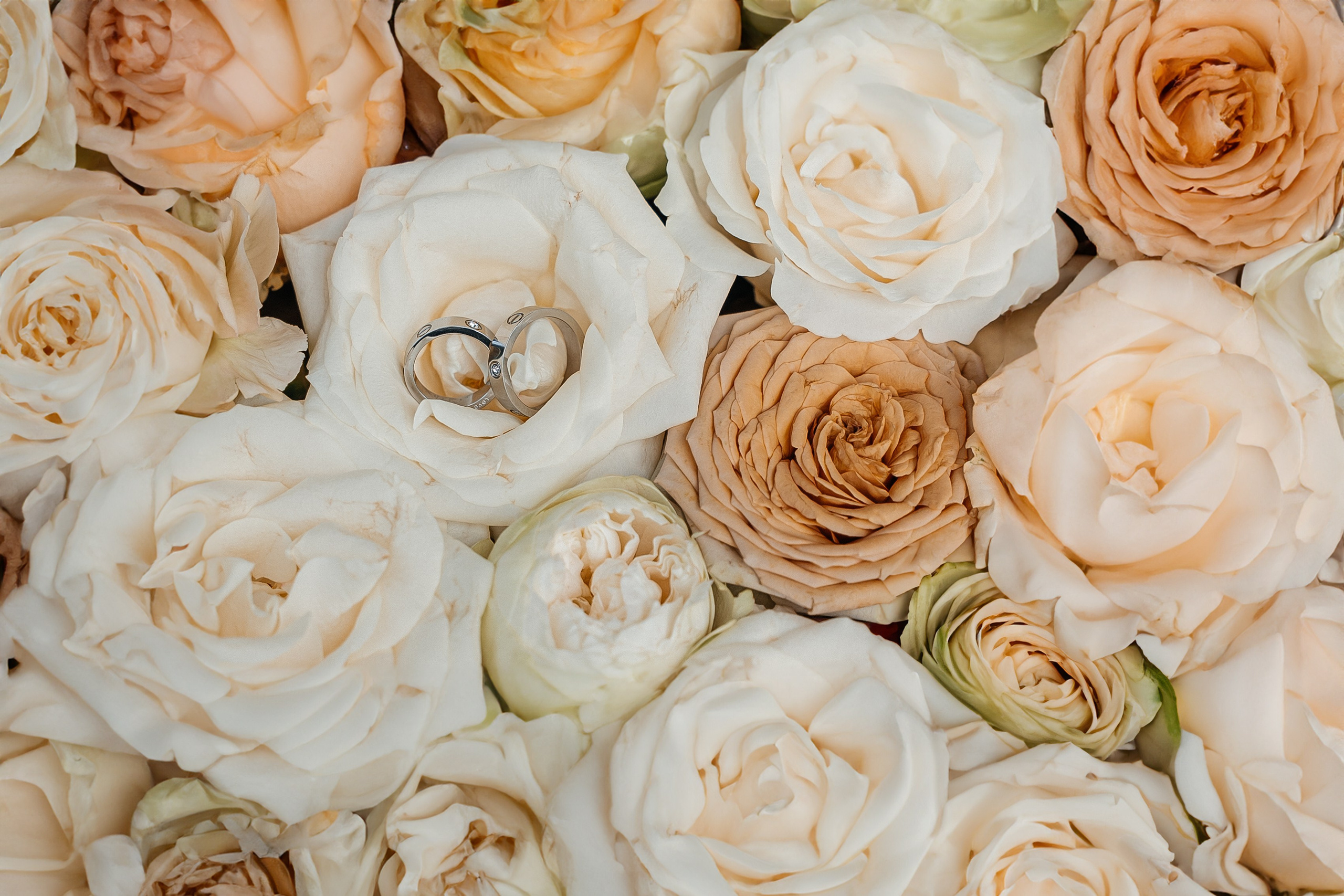 Christian & Alina. Wedding photographer Natalia