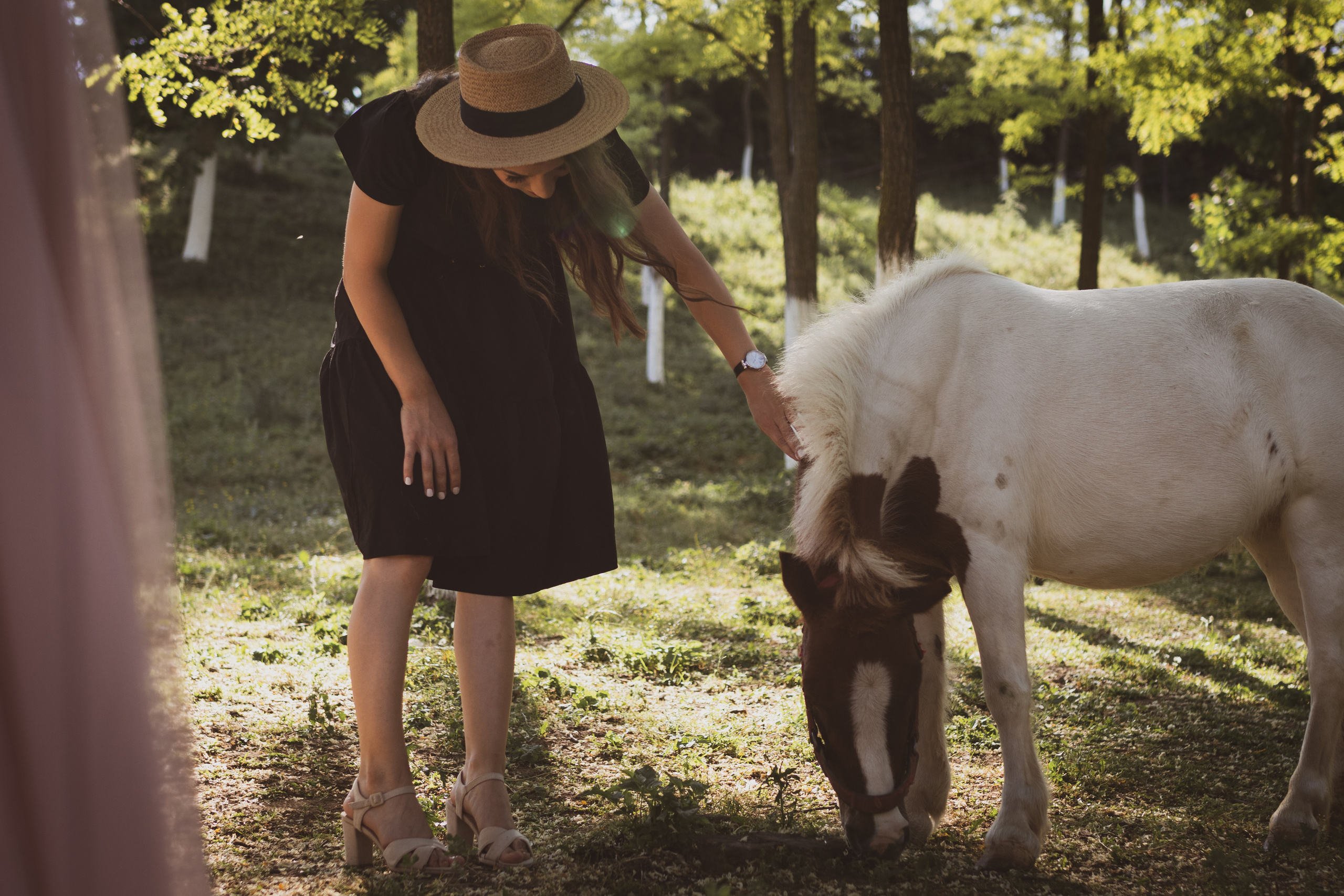 Fotografisanje trenutaka sa venčanja na fruškoj Gori
