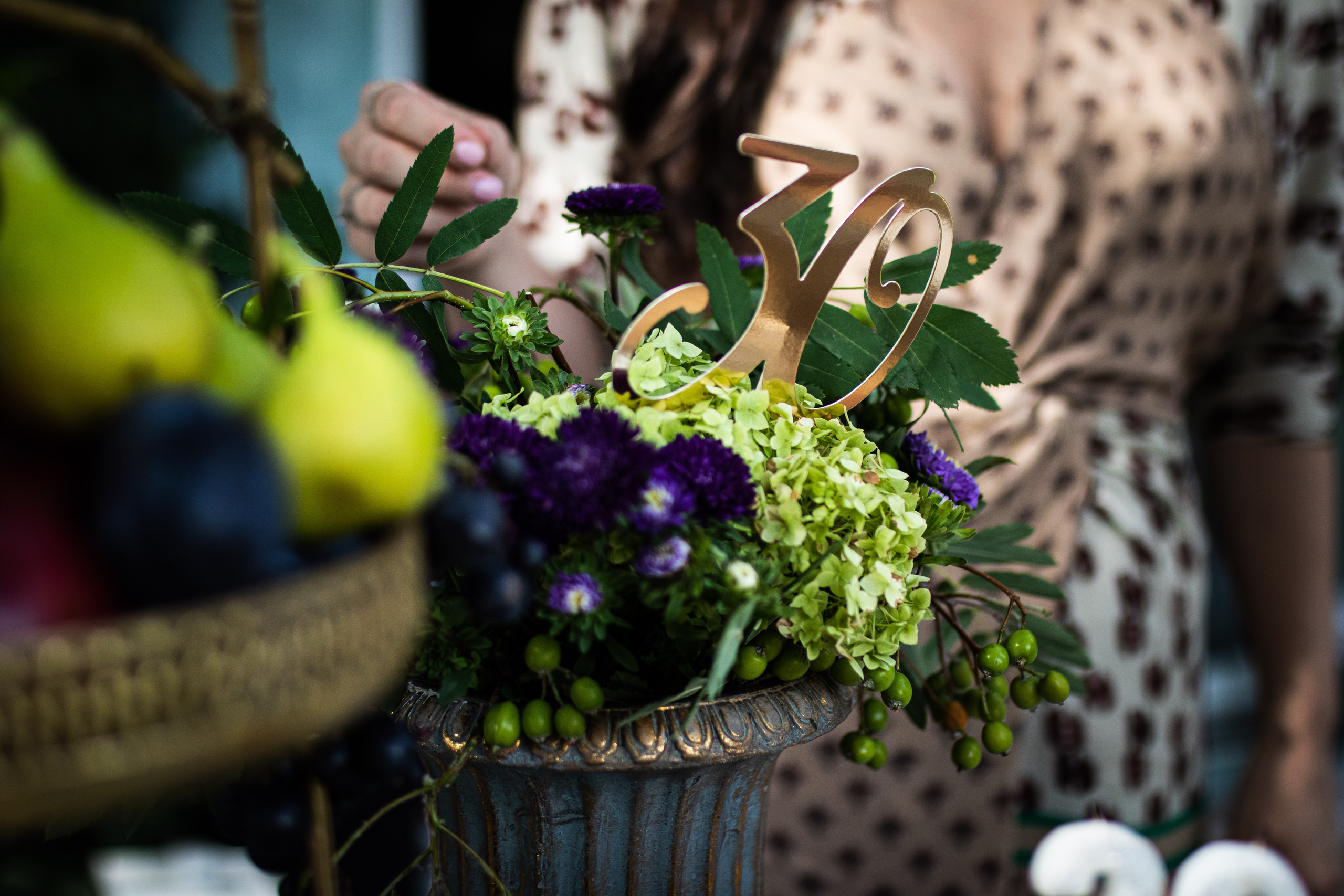 fotografija ljubičice