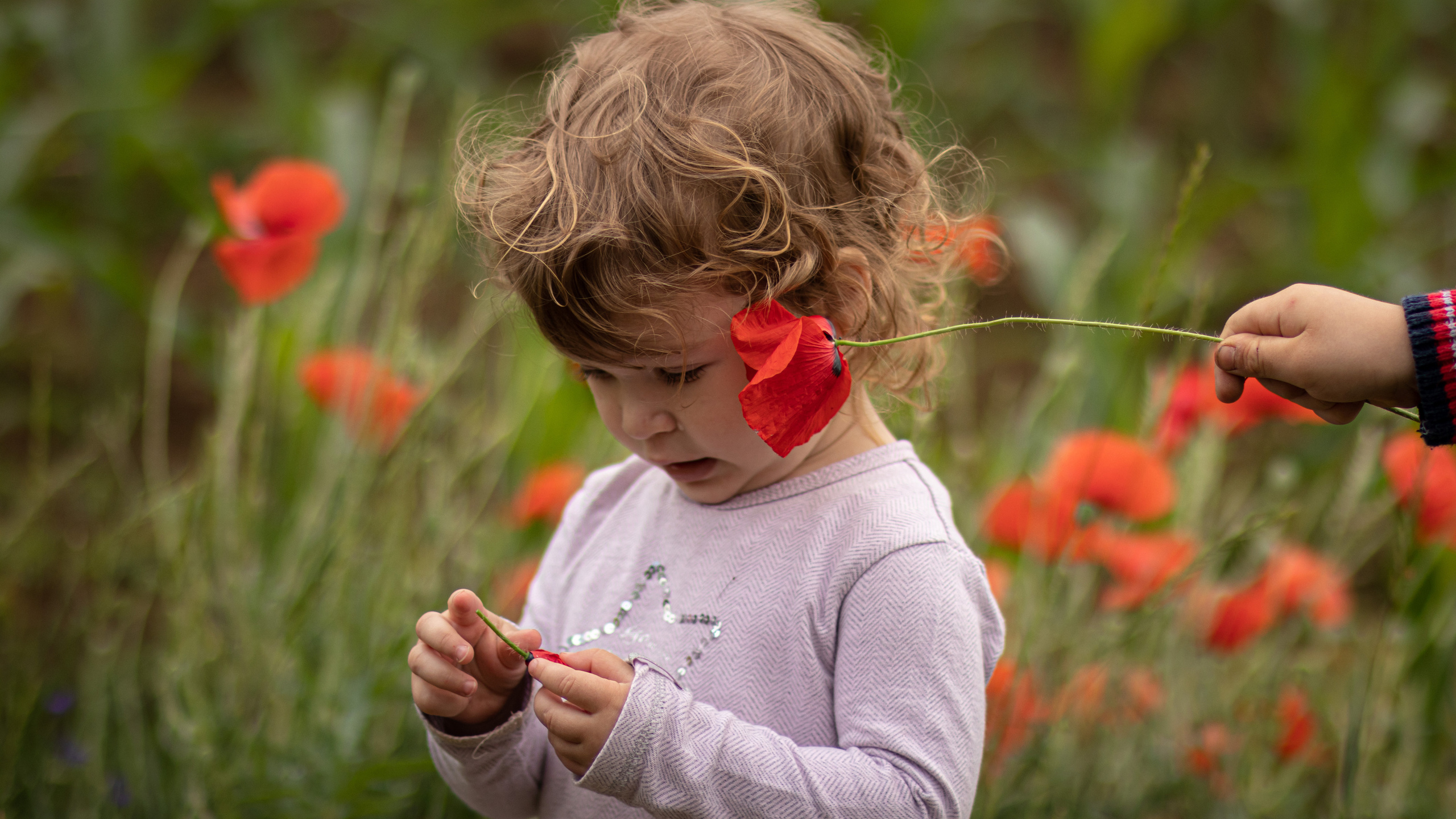 fotografija devojčice u cveću