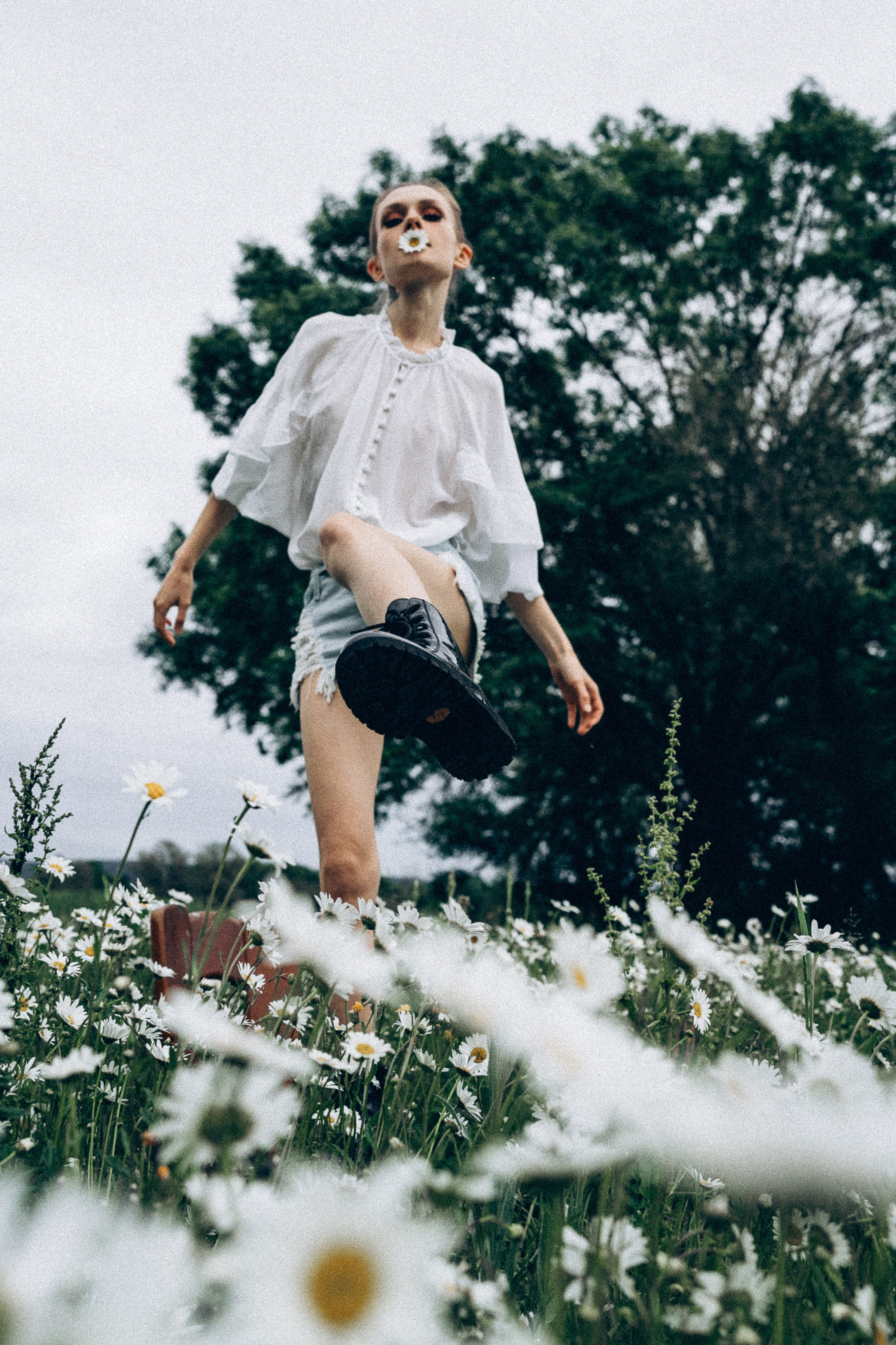 Mohnblumen. Pusteblumen. Familien, Lifestyle und Portrait Fotografin in Trier, Luxembourg