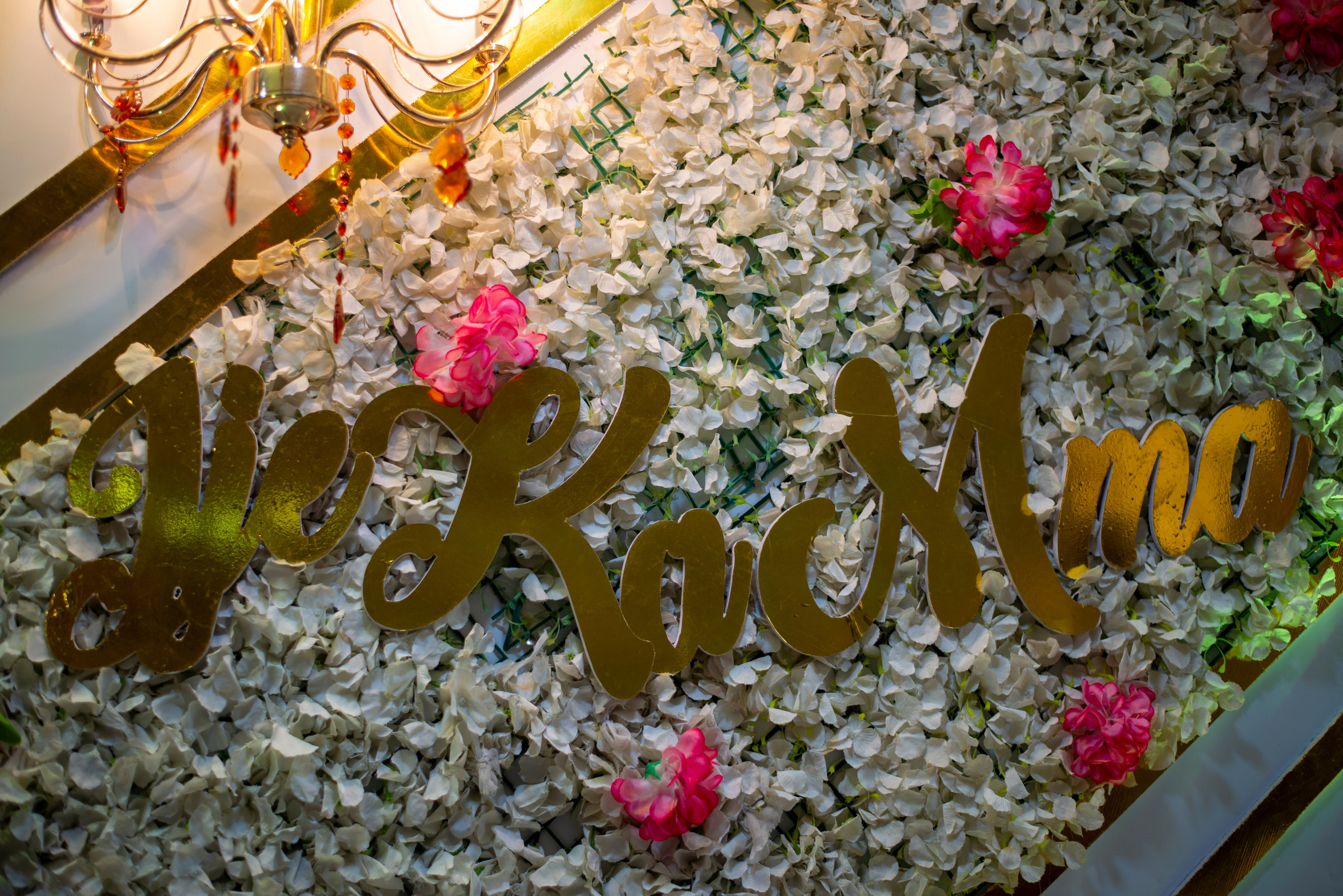 CeeBee01 Events. Portrait & Brand Photographer in Bradford, West Yorkshire