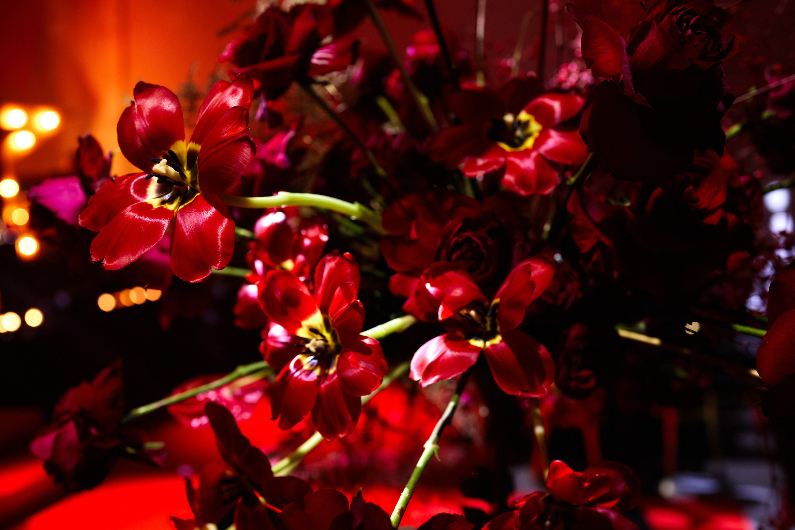 Новогодний корпоратив. Свадебный и семейный фотограф в Риге Игорь Давидович