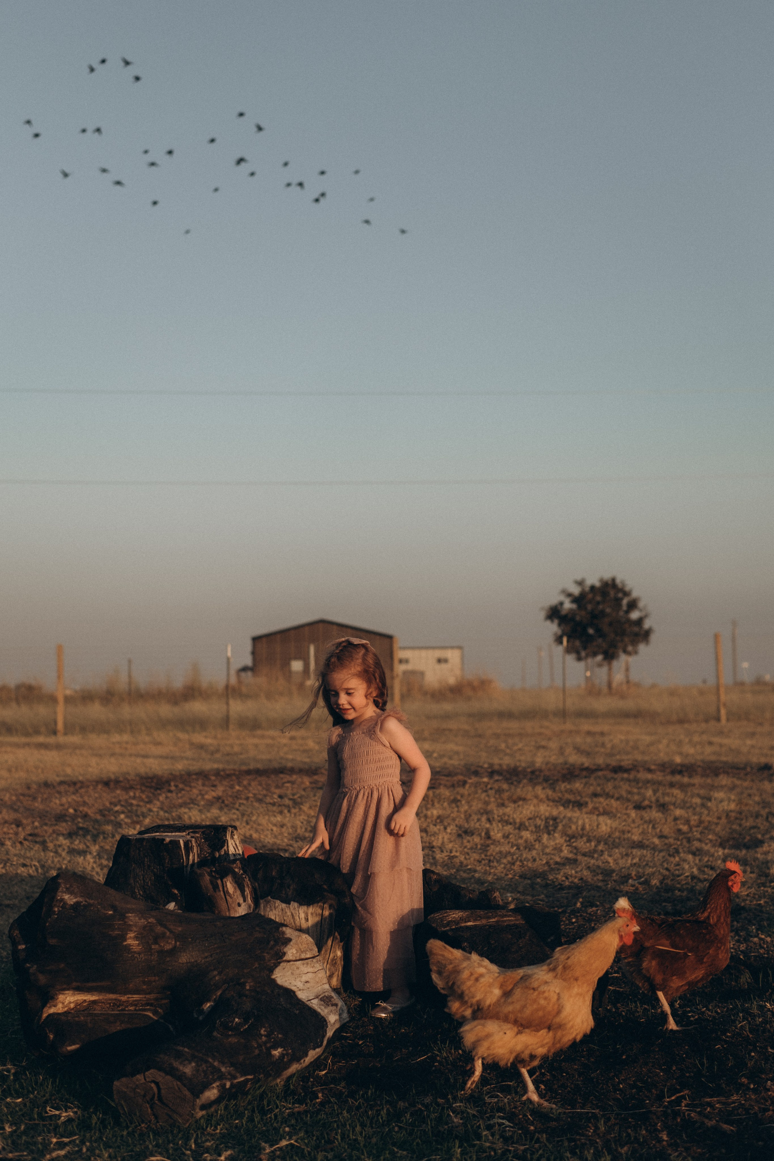 Little Princess. Lens Captures Life