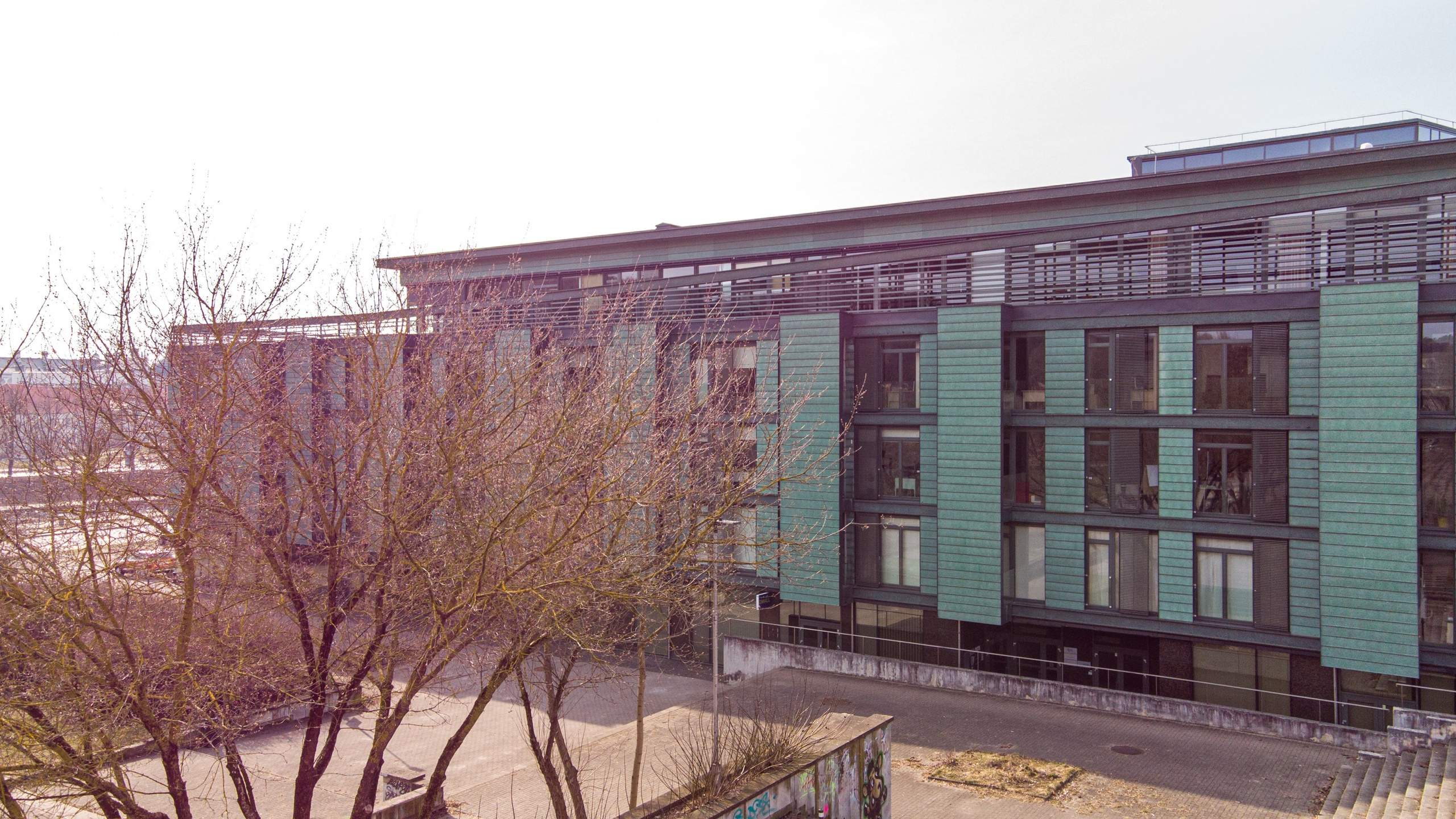 Olimpiečių 1. Elina Sapiega fotografė Vilniuje