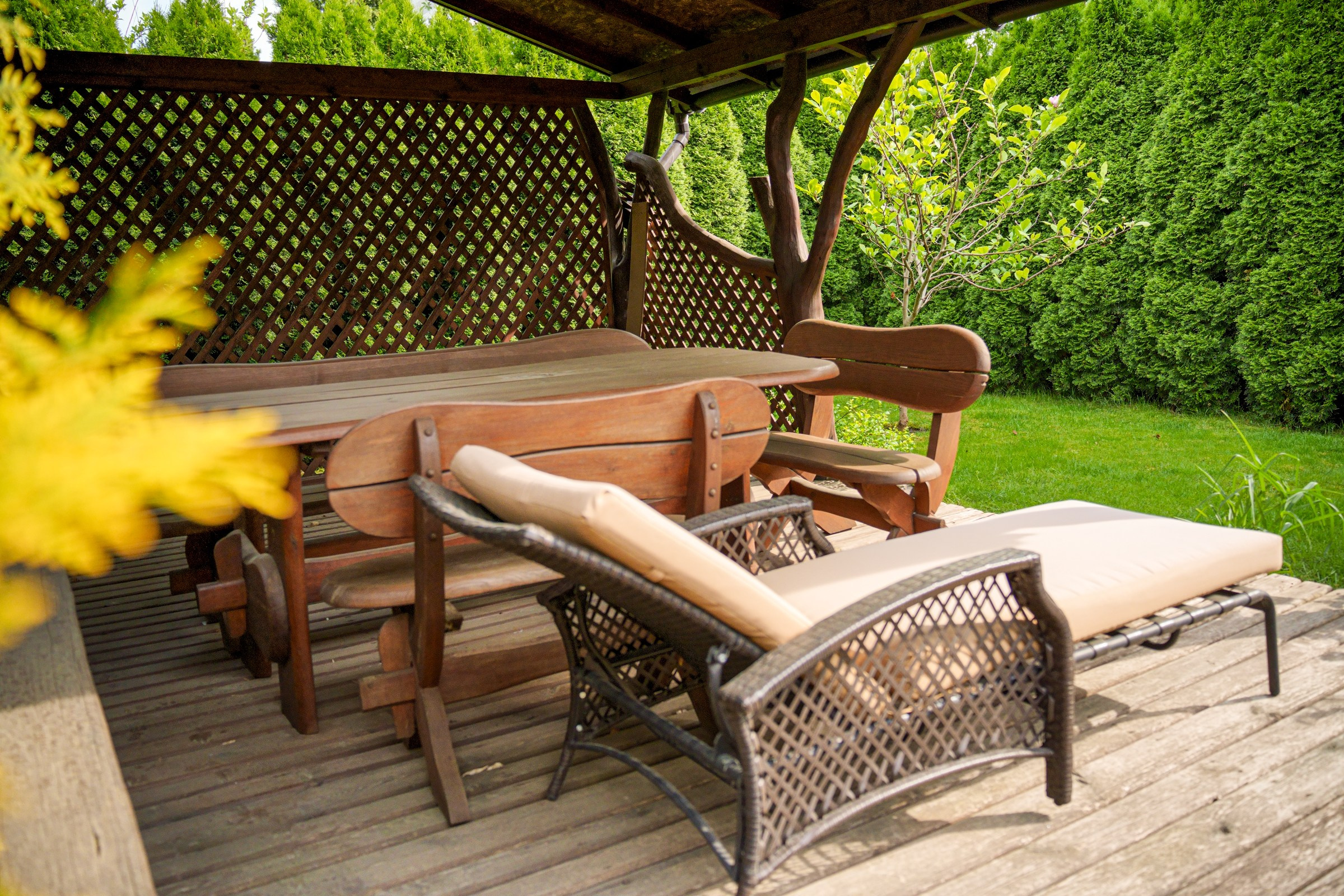 Viršupio sodų 1-oji. Elina Sapiega fotografė Vilniuje