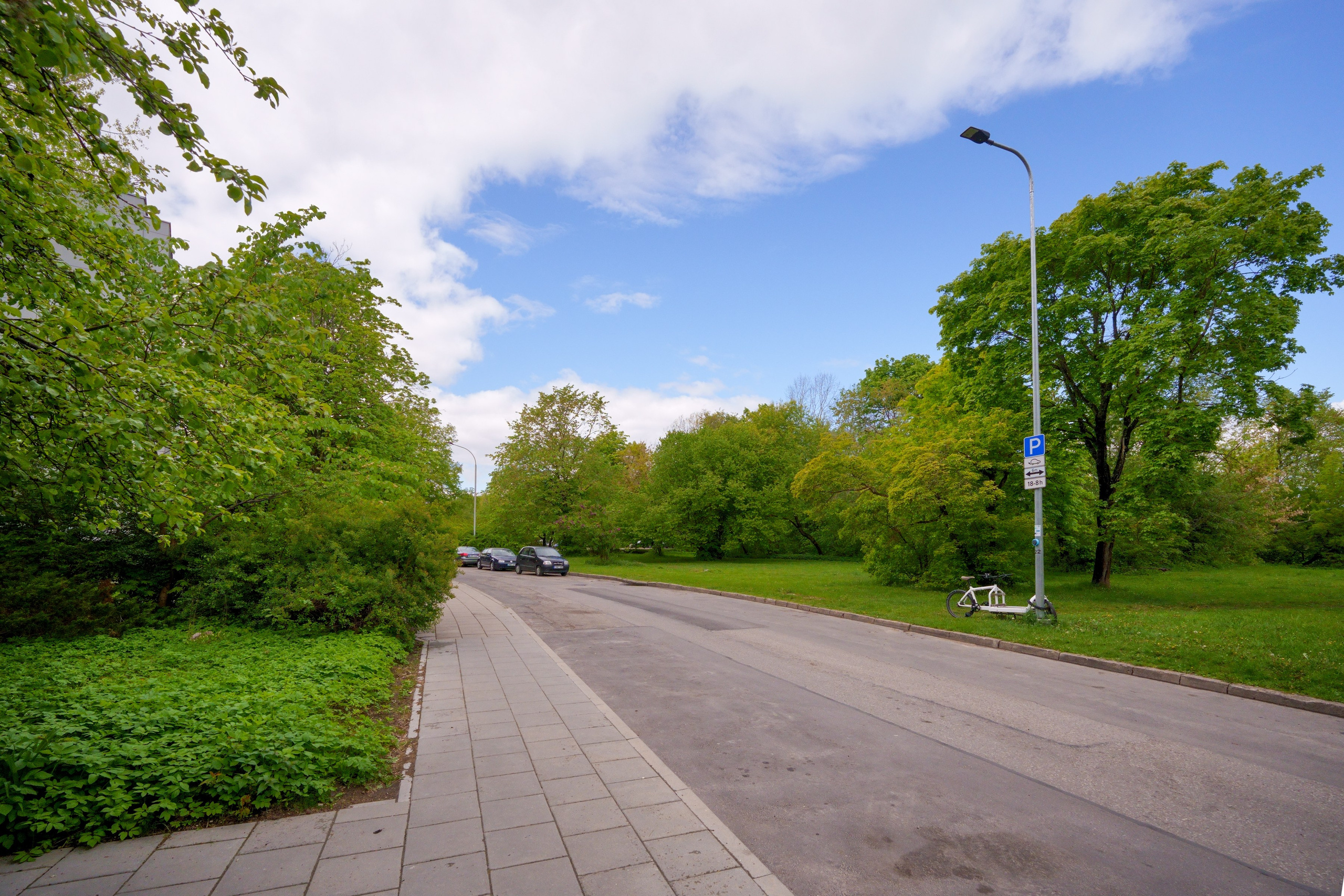 Žirmunų g. 98. Elina Sapiega fotografė Vilniuje