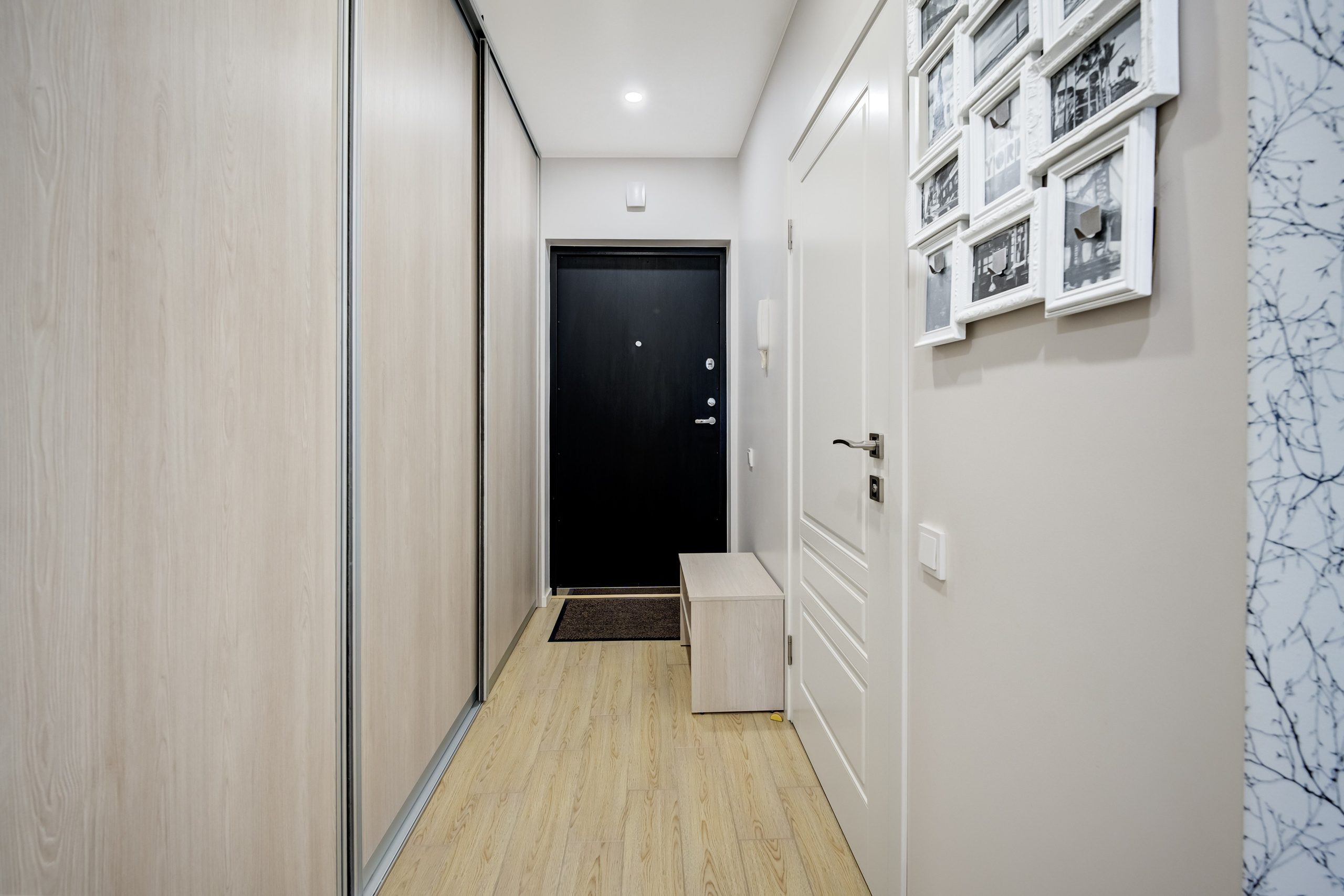 Katkaus g. 2 °C. Elina Sapiega fotografė Vilniuje