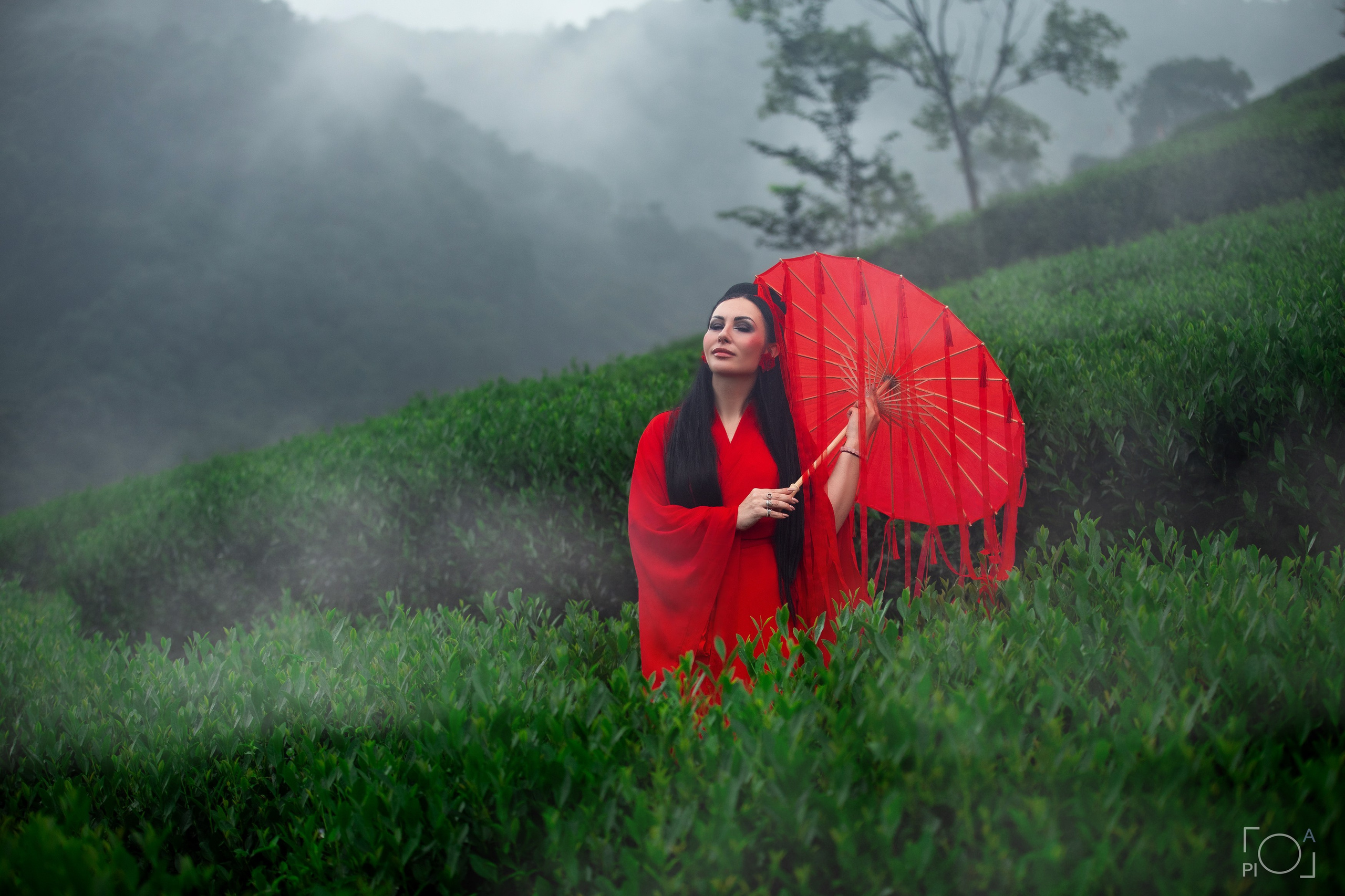 Photo shoot at tea plantations in Hangzhou, China. Brunette in a red Chinese board with a red Chinese umbrella. Photographer - Lola Pidluskaya. Off-site photo shoot for Darina Vysotskaya