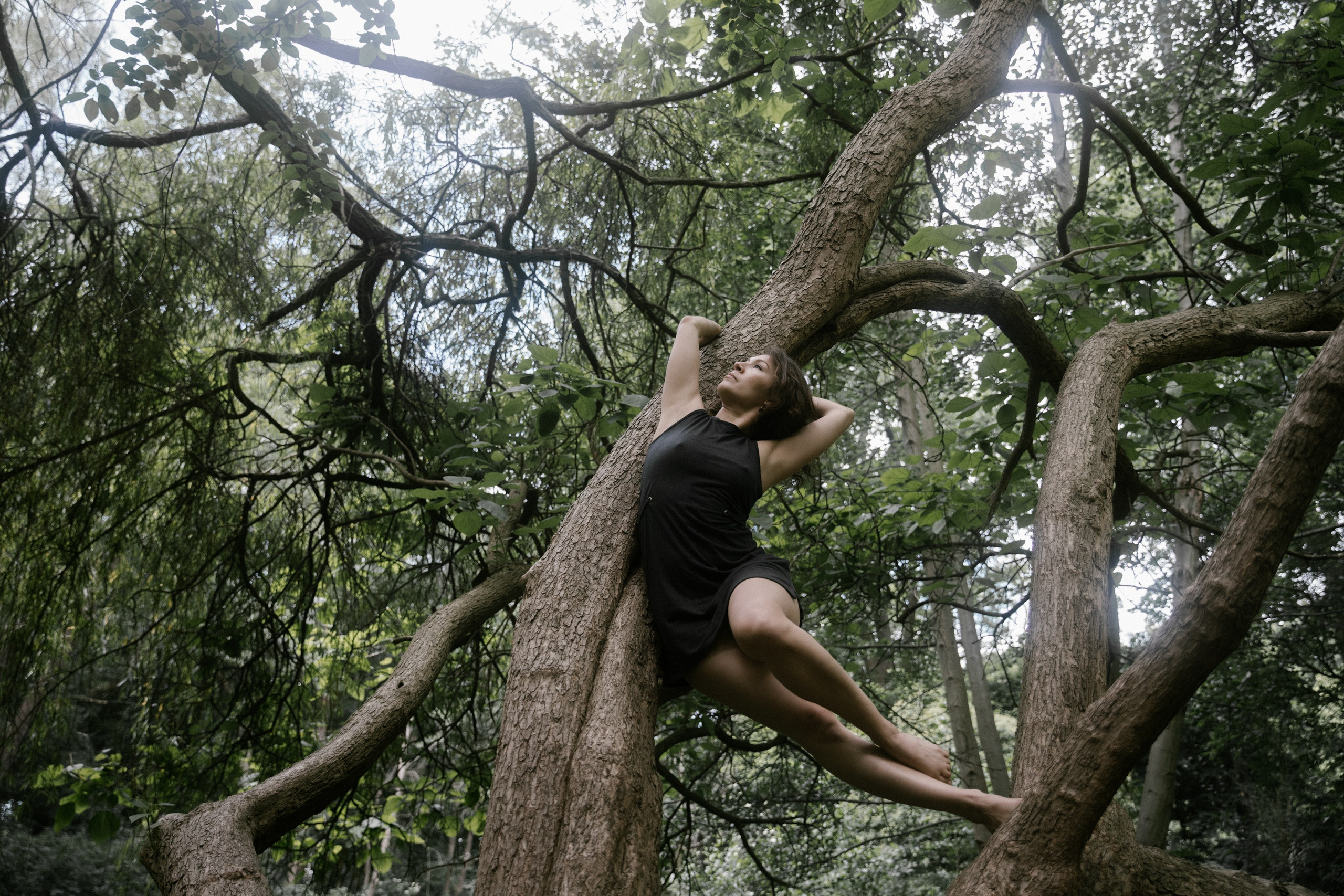 Frau liegt graziös im Baum, umgeben vom Wald