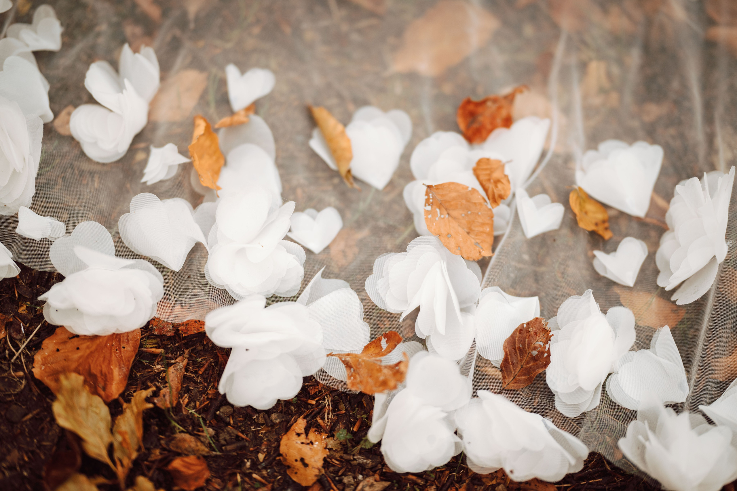 Catalina & Catalin. The Catalins Events — Wedding Photography & Videography