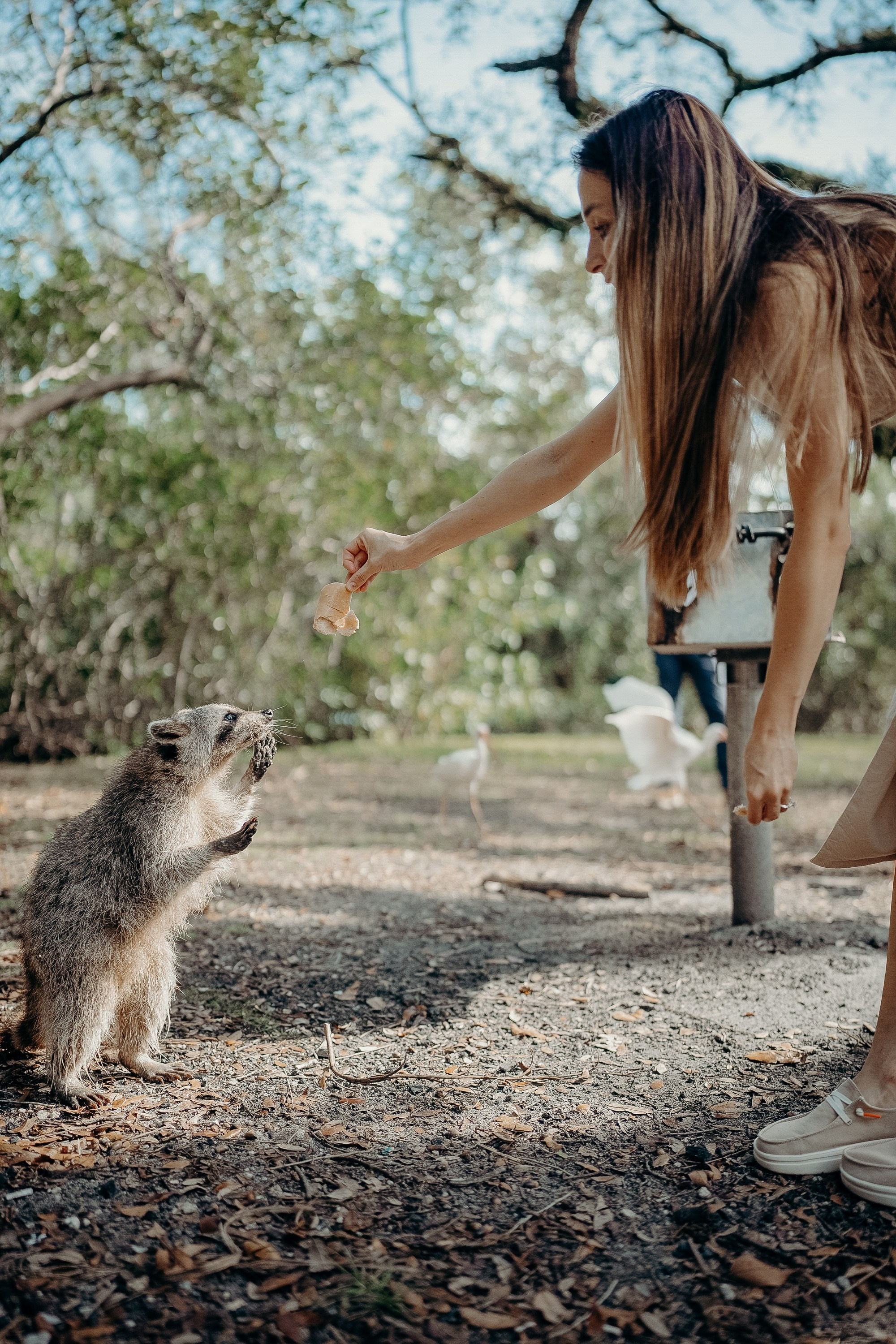 Couple in love from Miami. Portrait and wedding photographer in New York