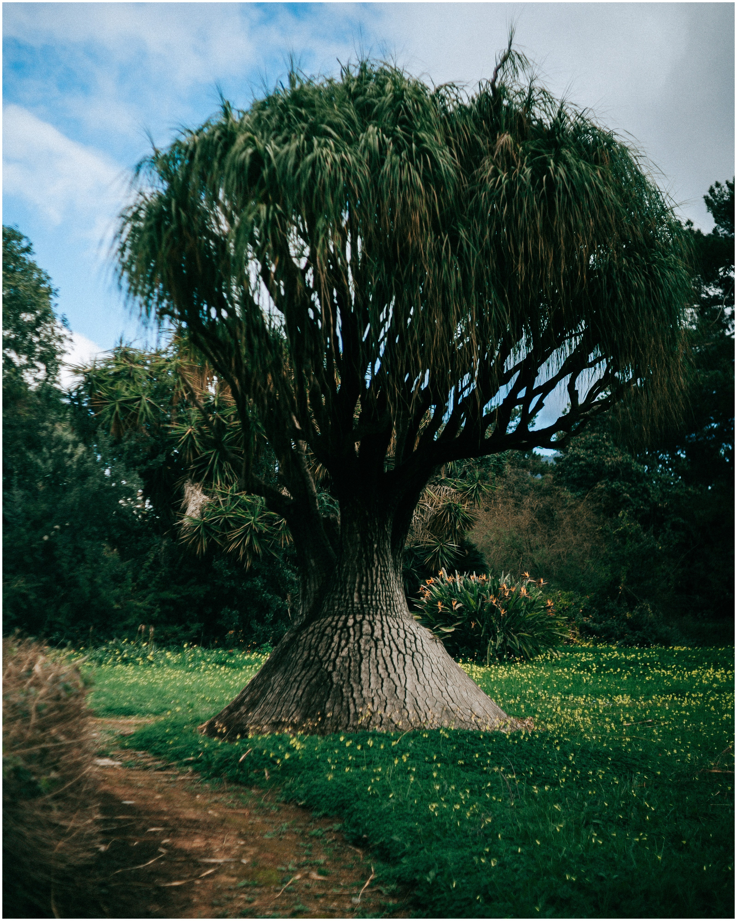 PALERMO. Photographer Inna Mendelson