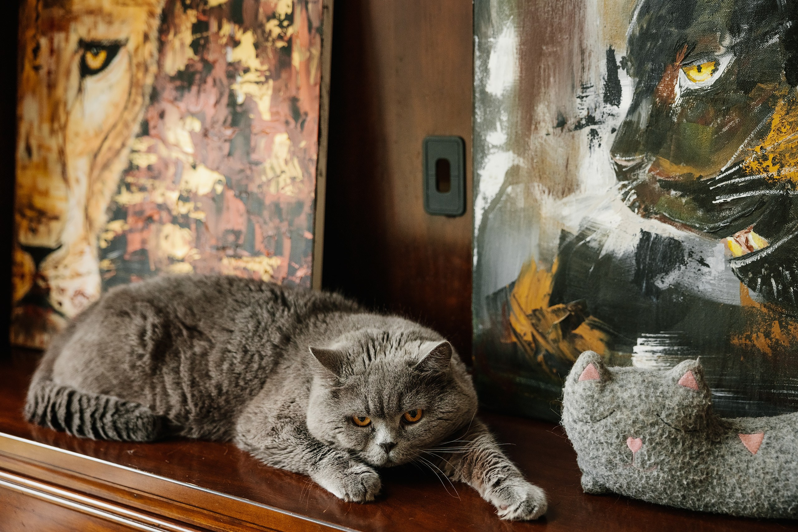 08.06.2024 Wedding. Wedding family event photographer in Chicago Nick Yushevich