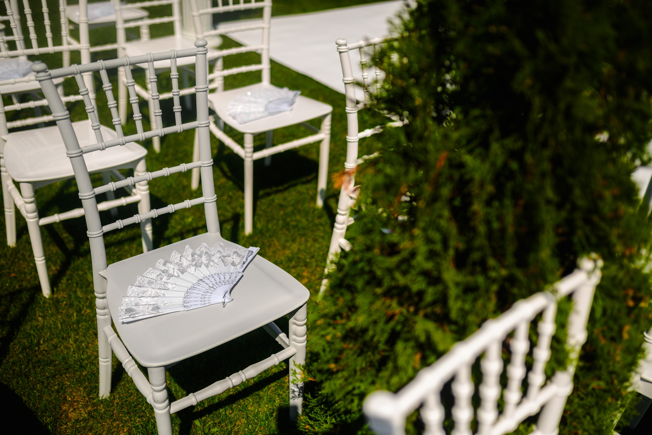 Octavian & Antonia. Erik Bagy | Fotograf de Nuntă
