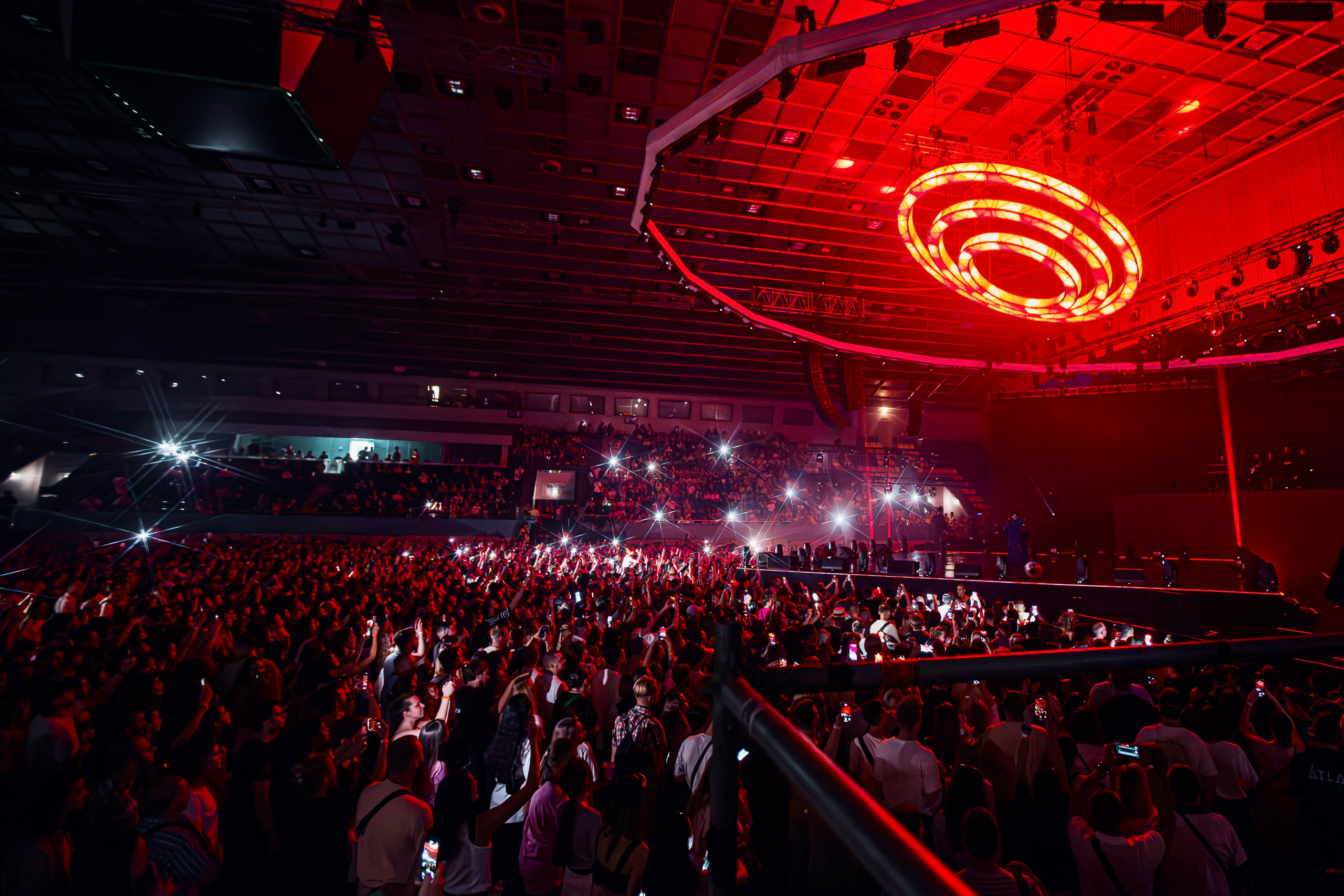 Klavdia Petrivna. Репортажний фотограф/анімаліст КИЇВ