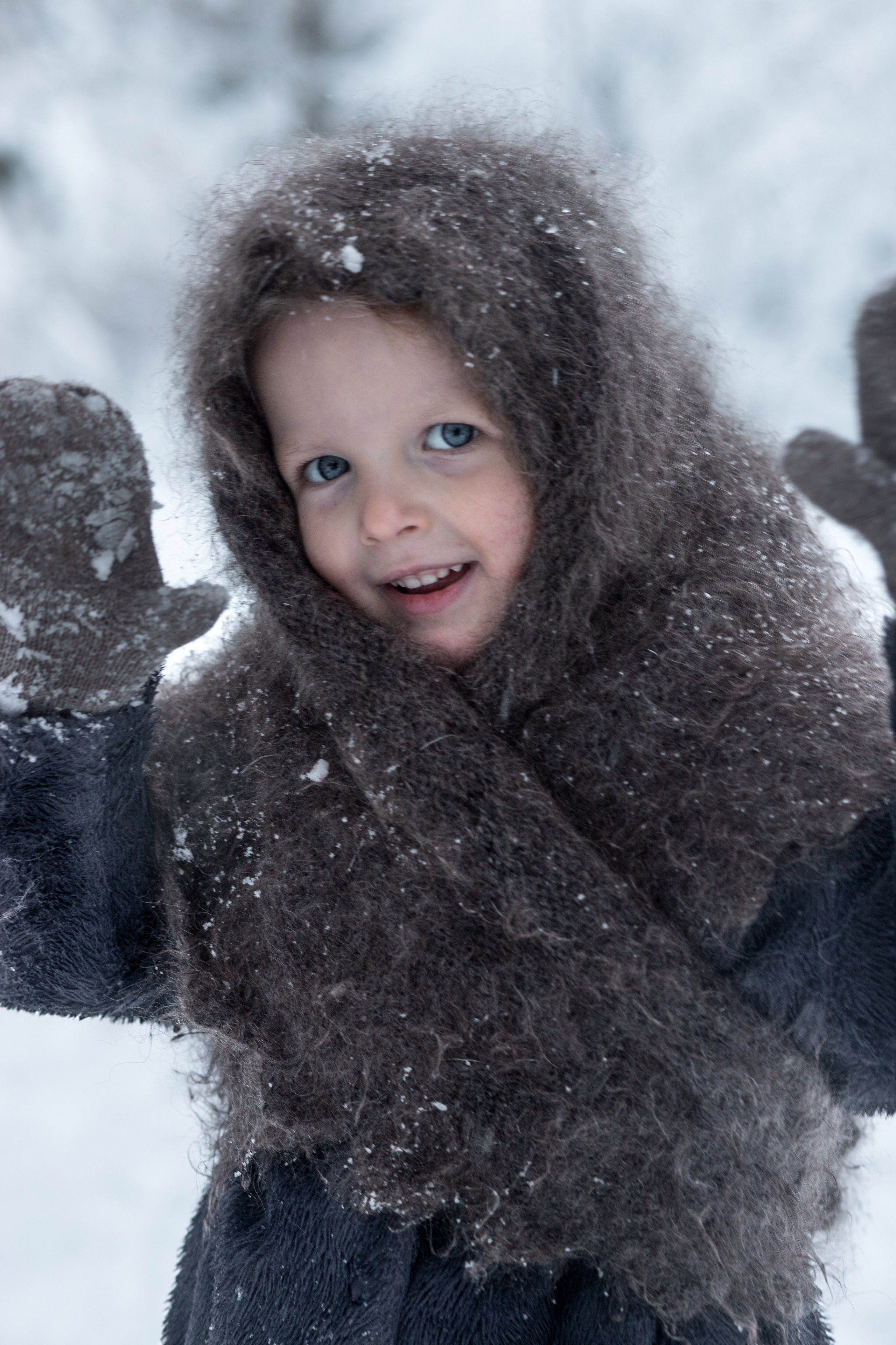 Ein Weihnachtsmärchen. Olena Fritz Fotografie