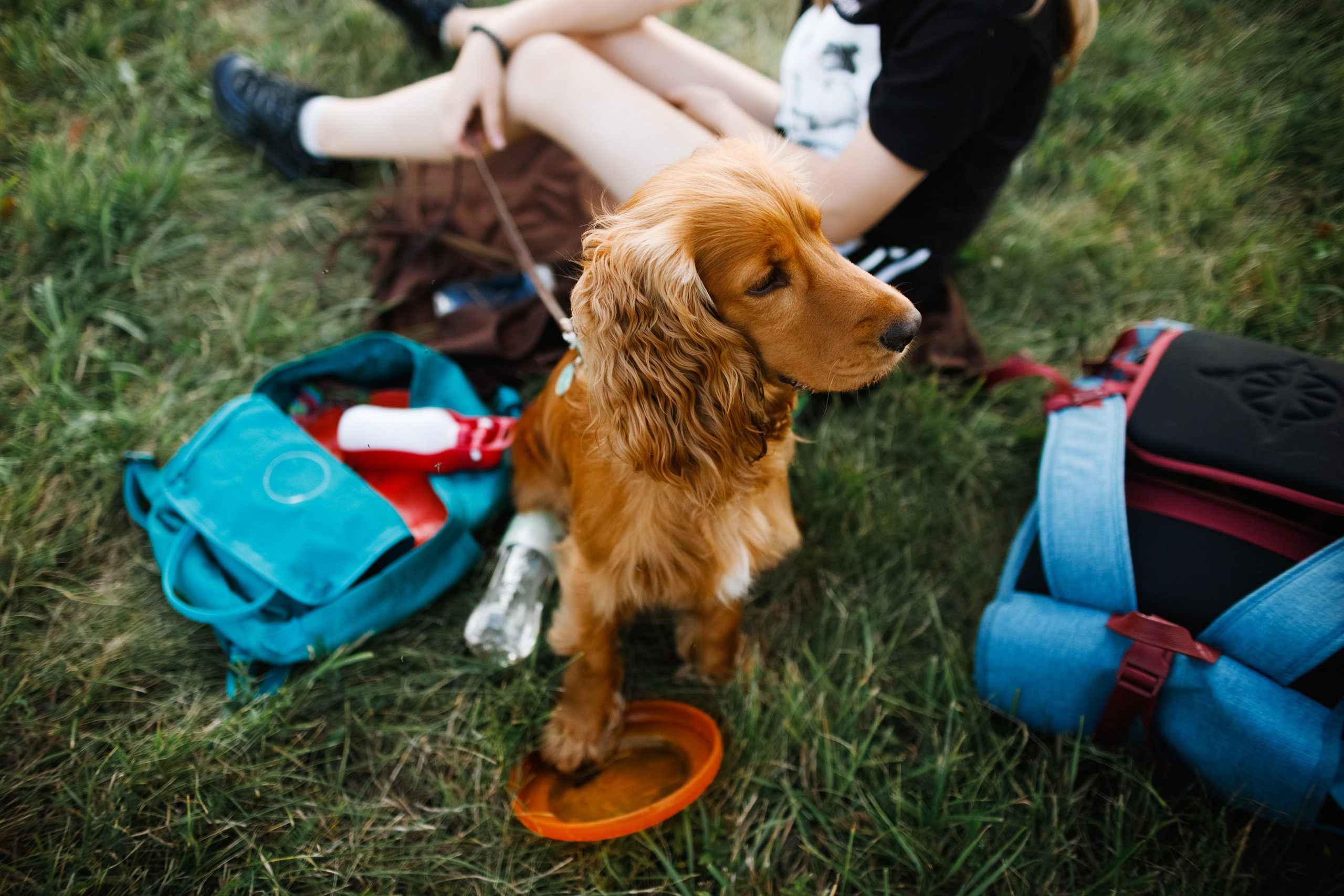 Frisbee workshop of Darya Lukina. Kaja | fotograf we Wrocławiu | ludzie i psy