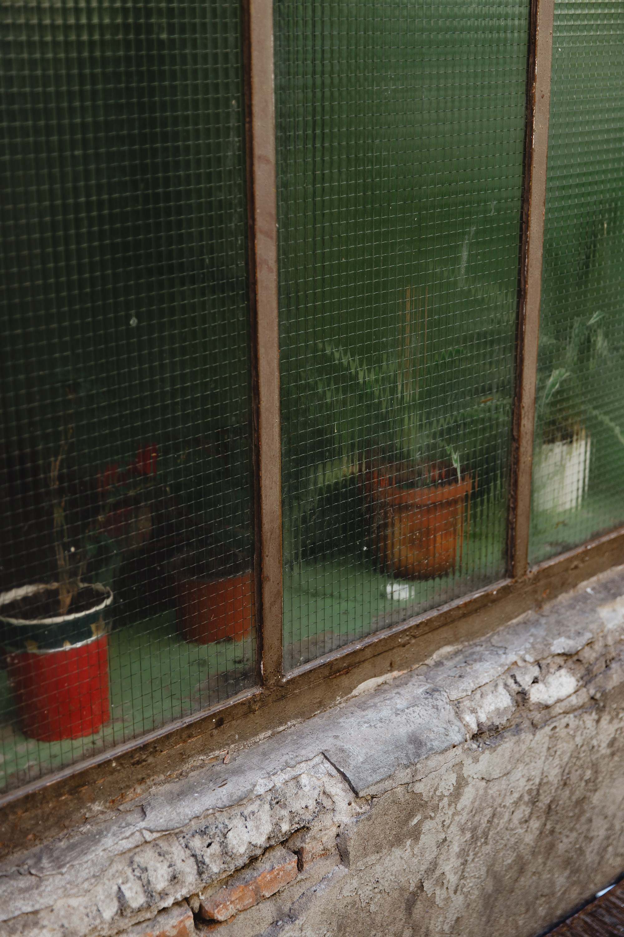 Wroclaw | the best ones. Kaja | fotograf psów we Wrocławiu