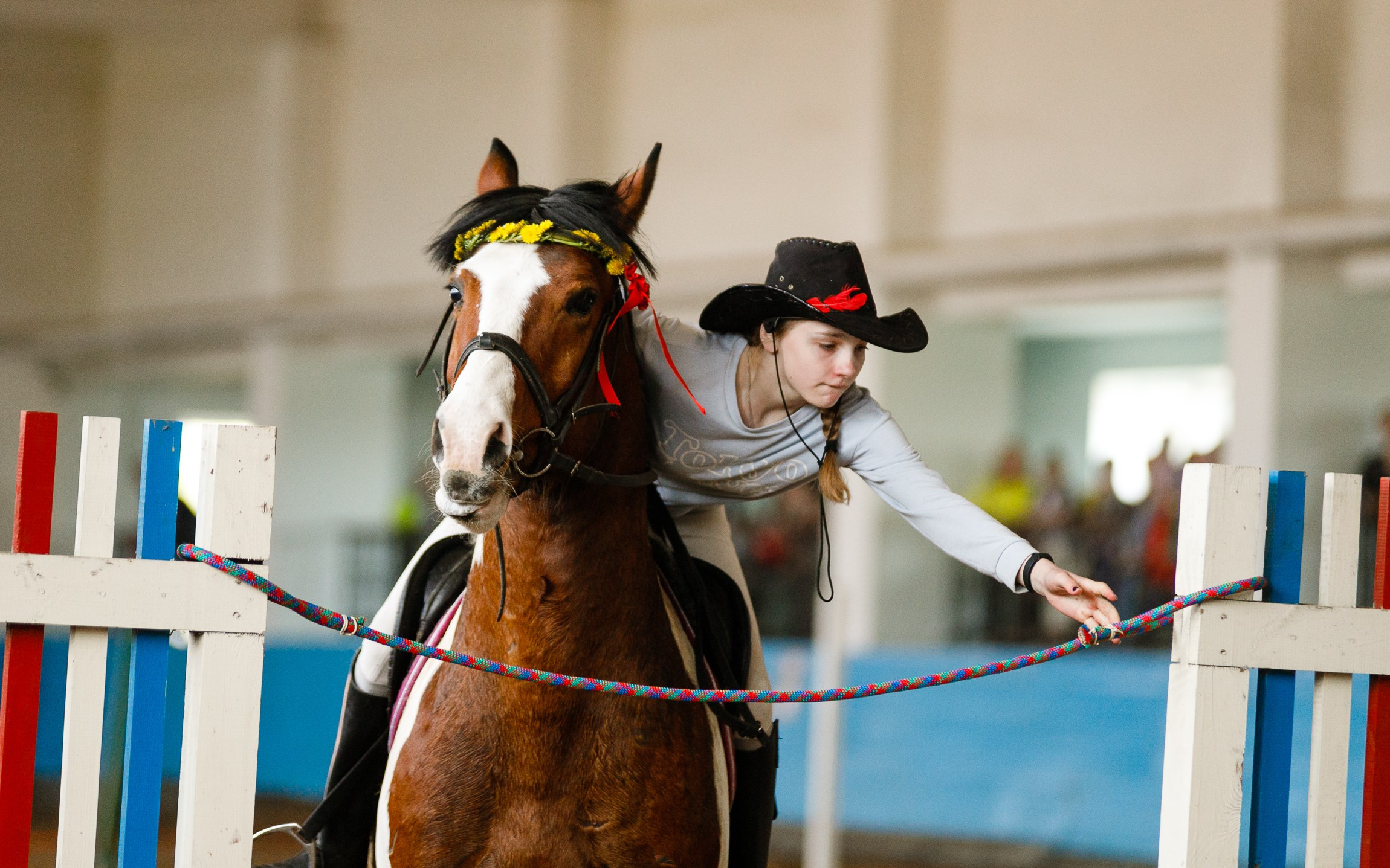 Horse winter games. Kaja | fotograf we Wrocławiu | ludzie i psy