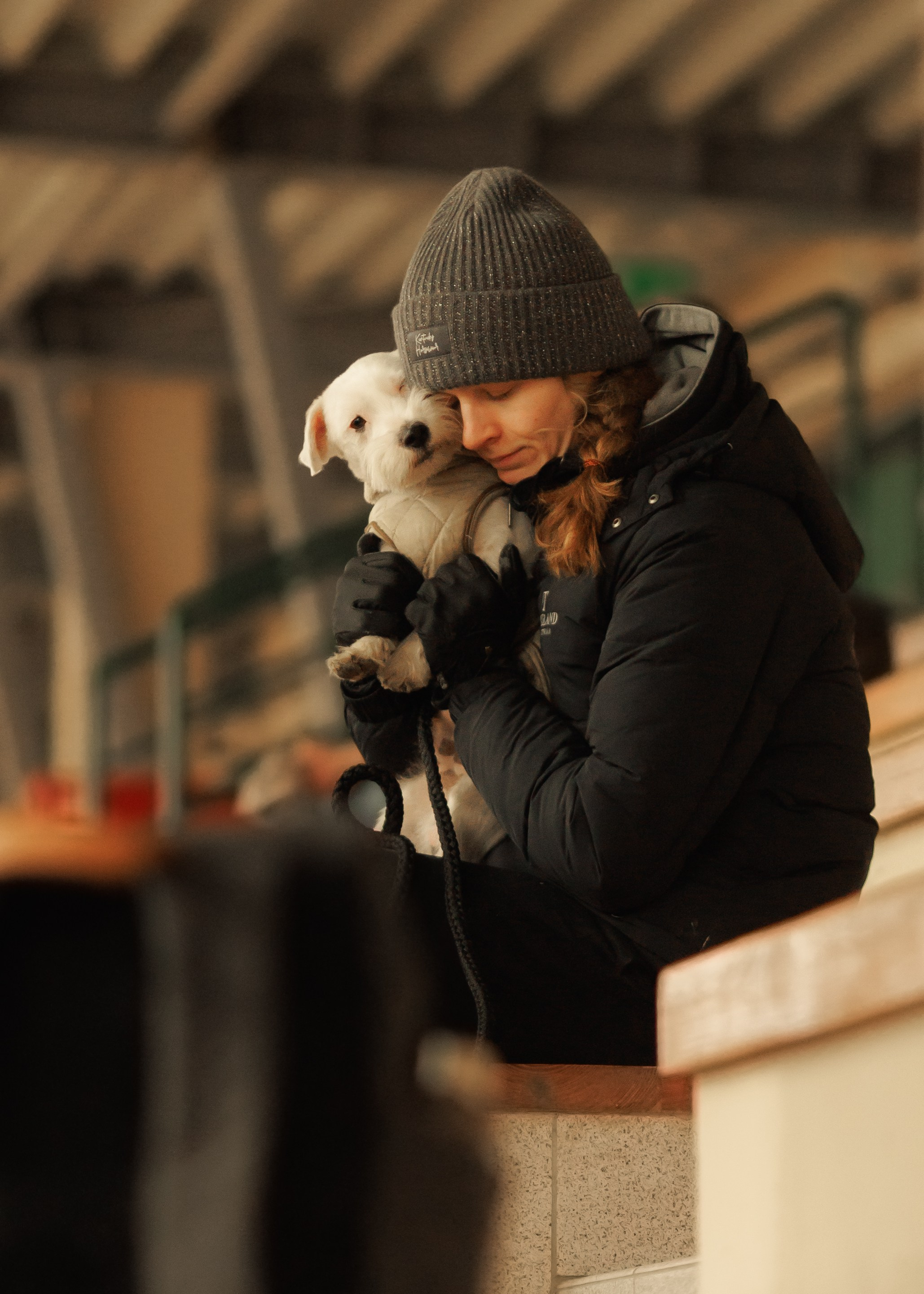 Fotografia koni Wrocław \ ujeżdżenie, Partynice. Kaja | fotograf we Wrocławiu | ludzie i psy