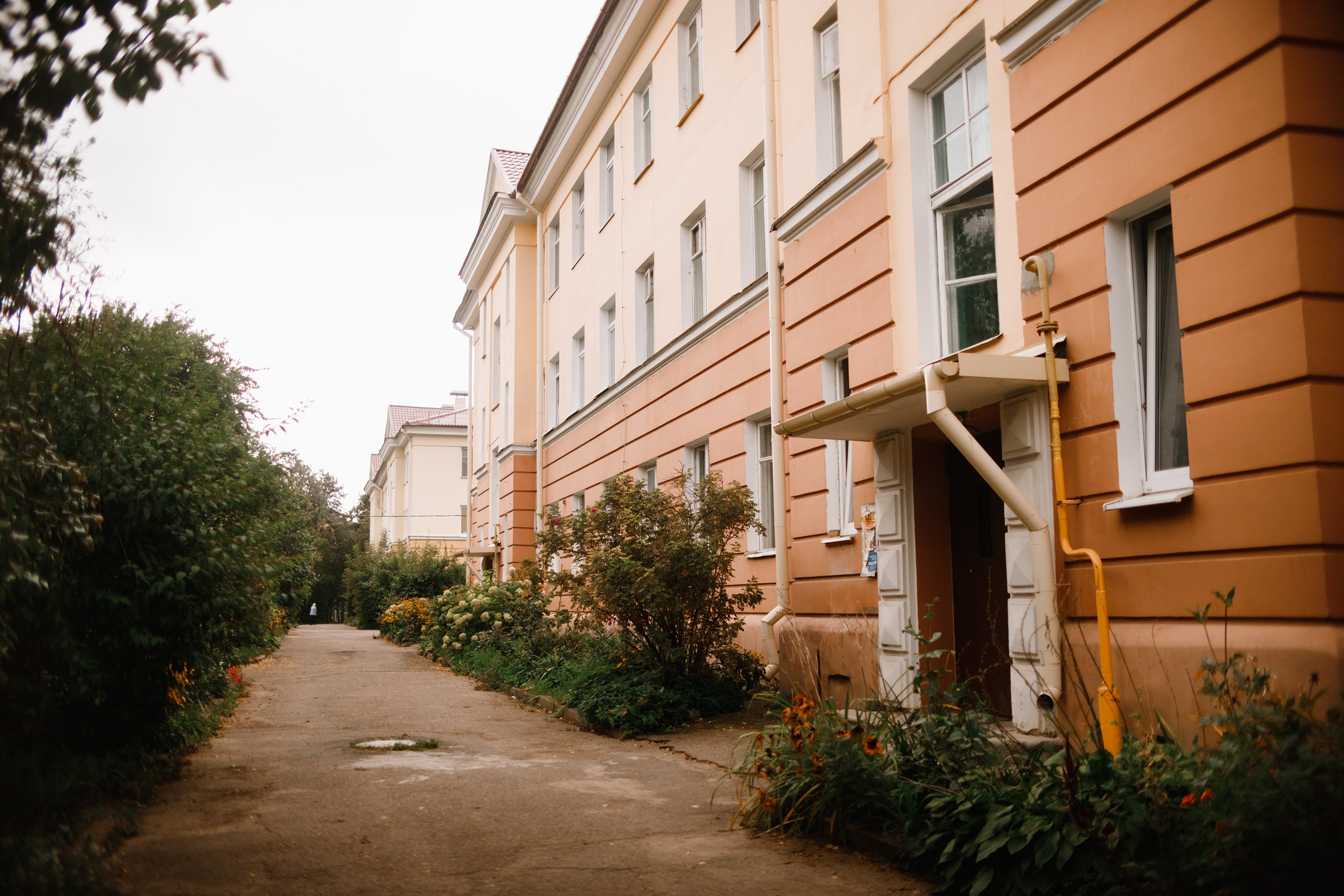 Grodno. Kaja | fotograf we Wrocławiu | ludzie i psy