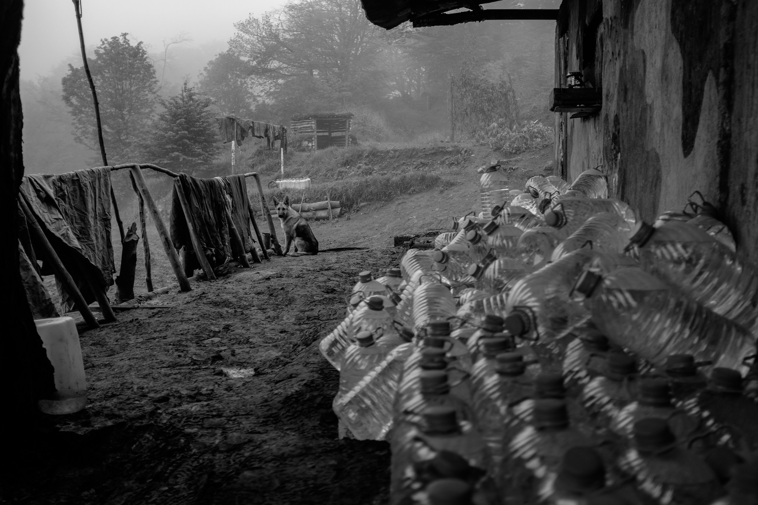 “Mob.” (Military mobilization), 2016. Areg Balayan — Photographer/Visual Artist