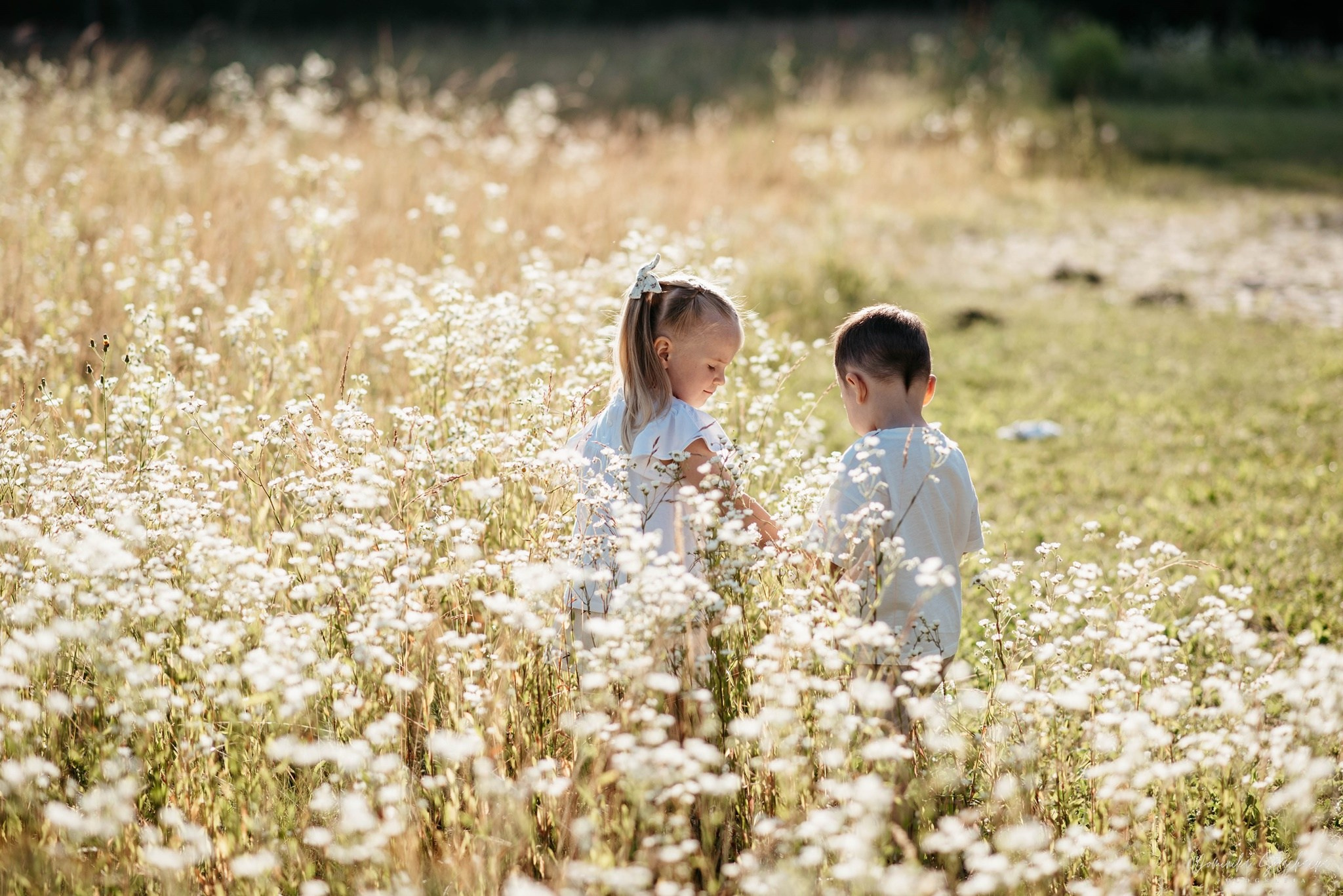 Sesja rodzinna, sesja pokoleniowa, sesja z rodzicami,