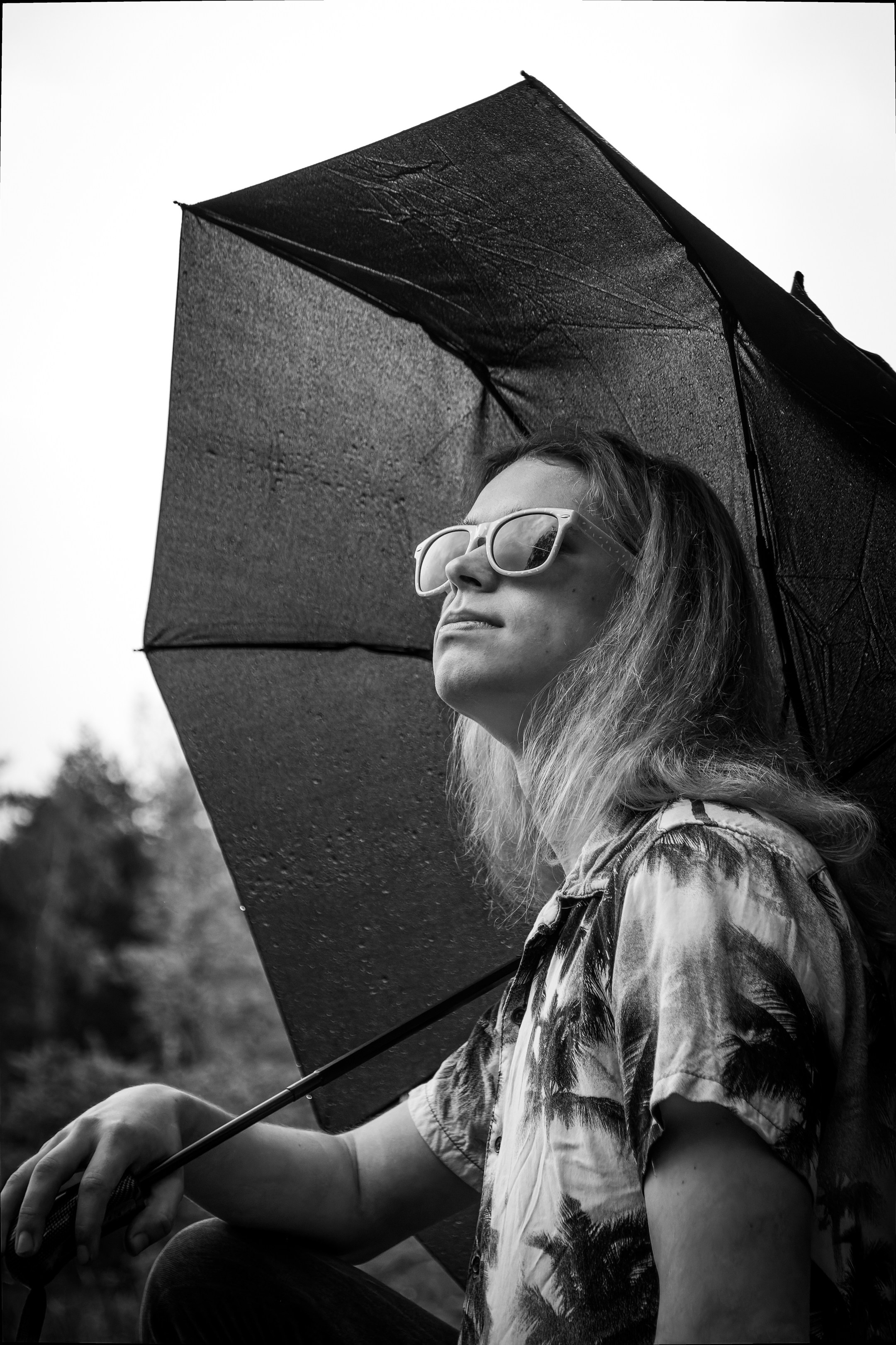 Mets, vihm ja jahedus (Dimitry). Nebula 25 — Fotod teie hingele