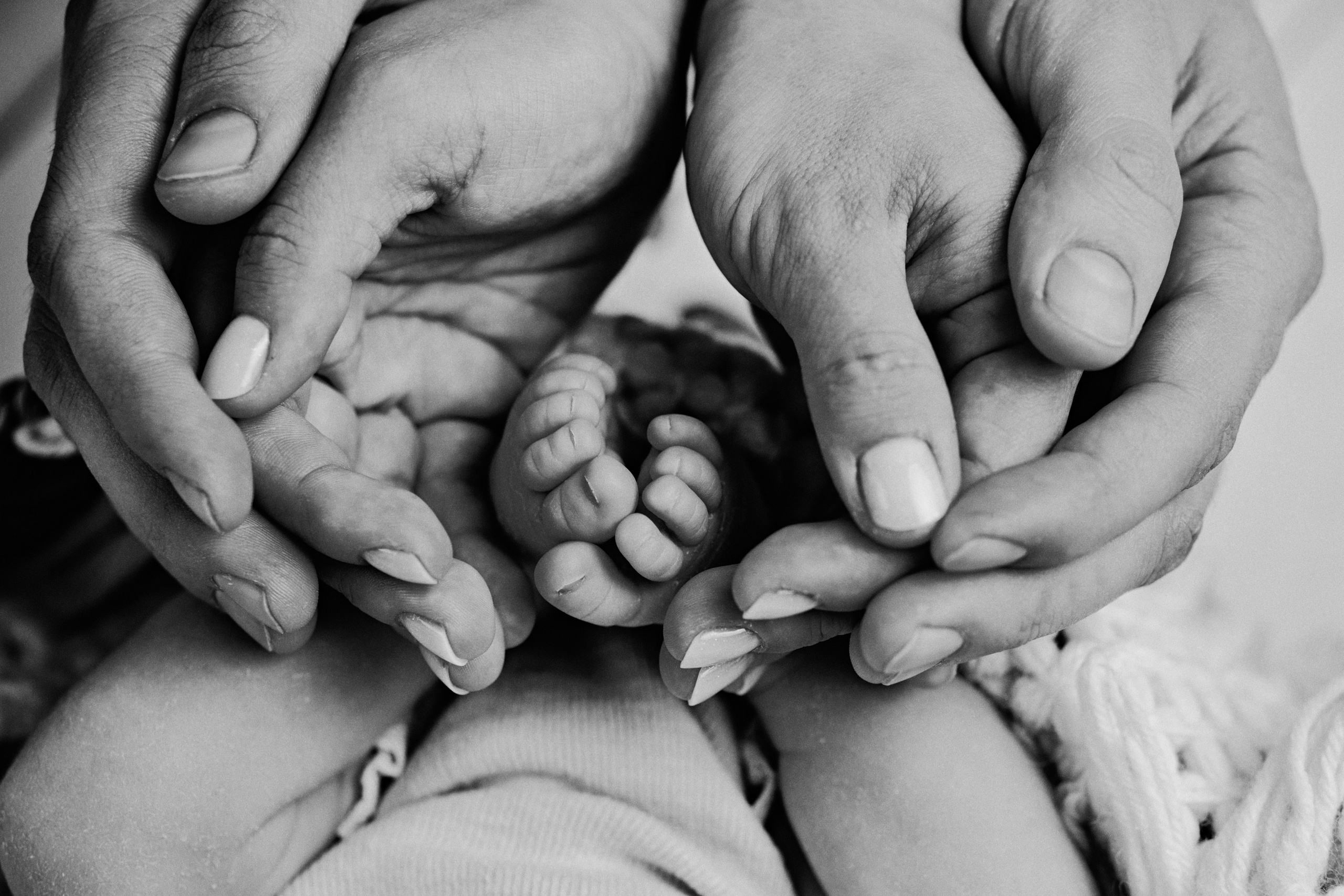 New born. Anghel’sPhoto