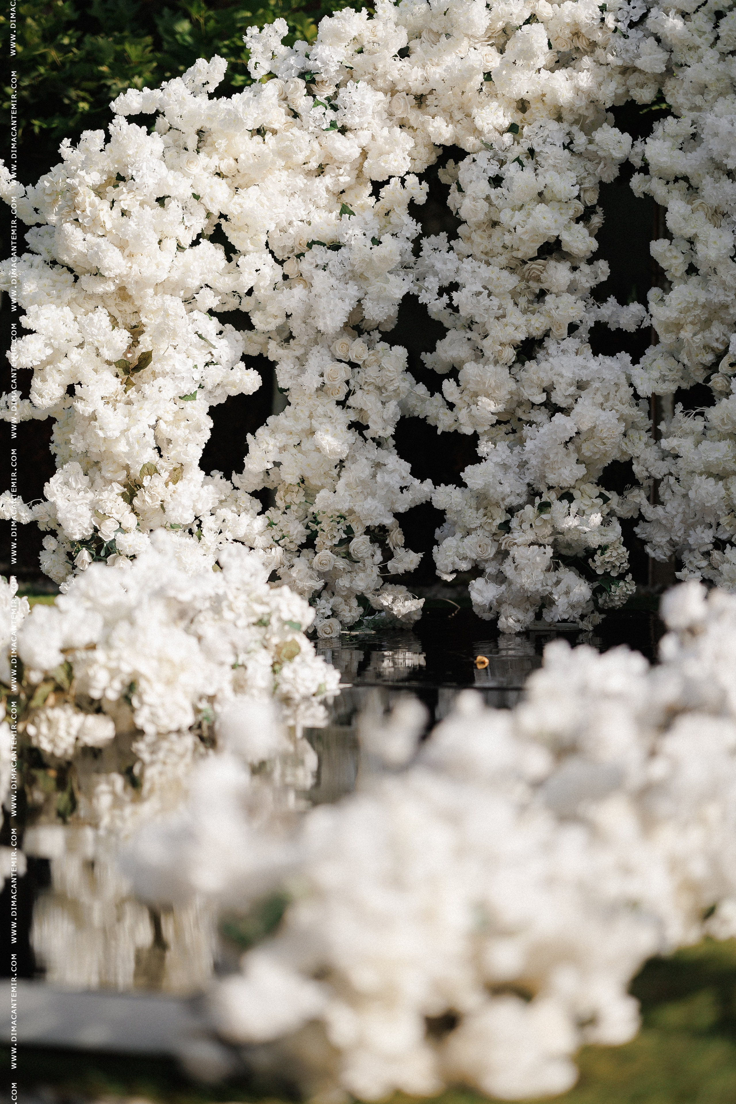 ALEXANDR & SVITLANA. Fotograf de nuntă în Chisinau, Moldova. Poze și Video Comerciale