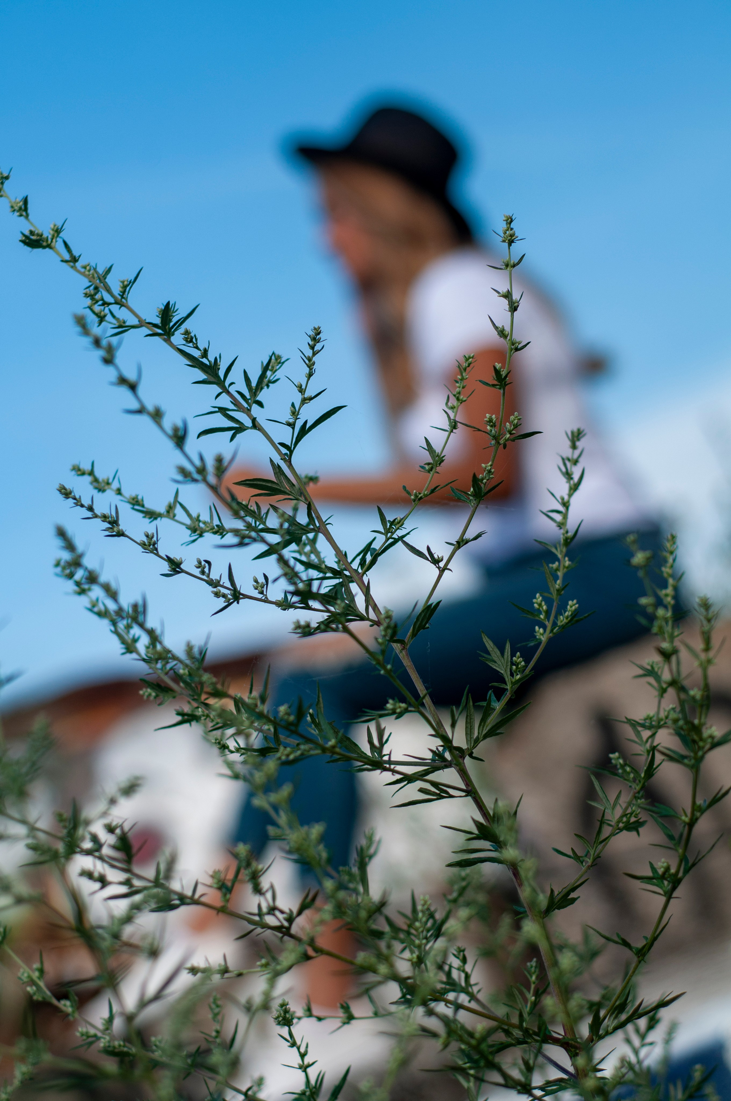 Flavia (Montreal QC). Carlos Lima Photography — Photographer in Calgary