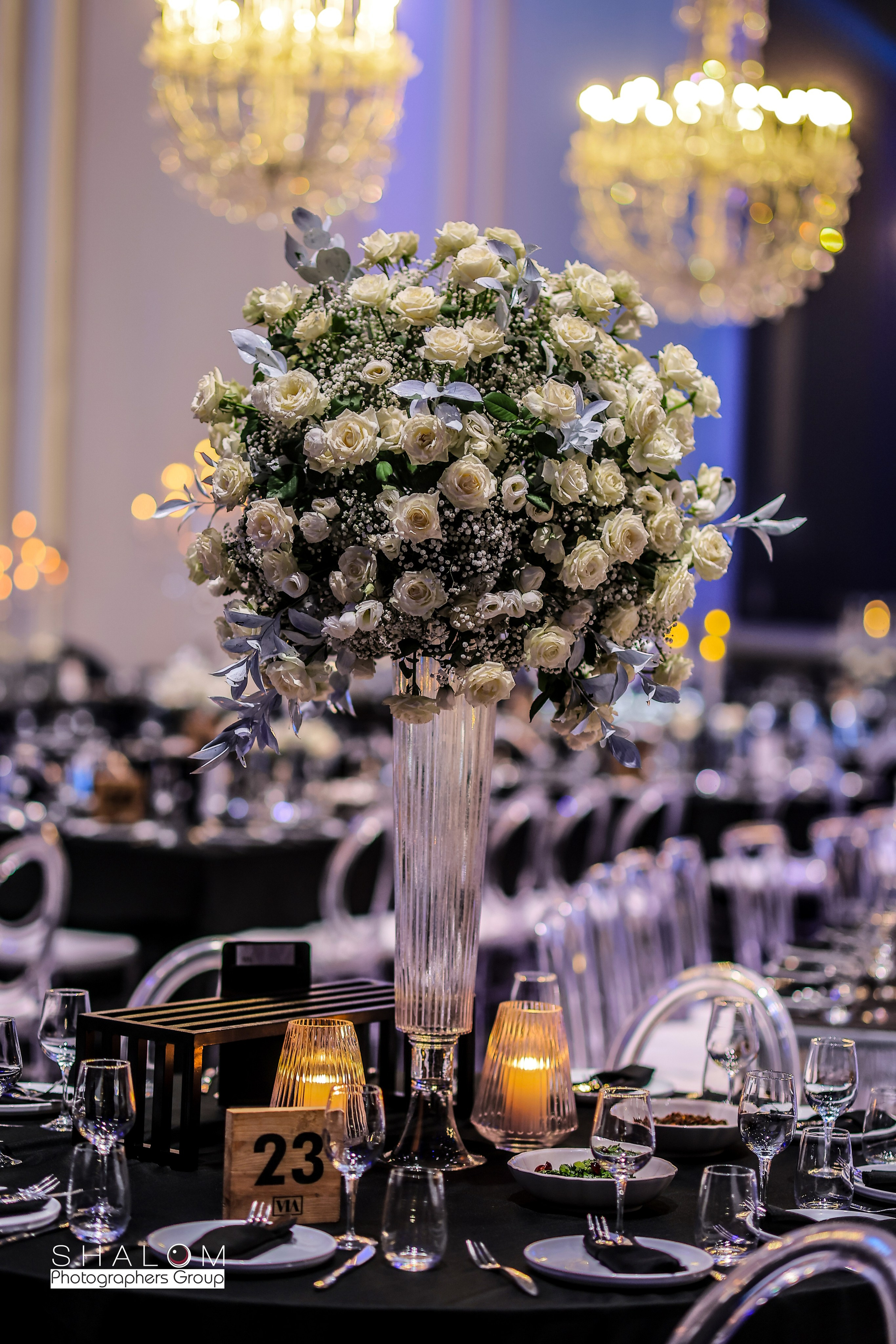 VIA / BASICO. Wedding and events photographers Studio Shalom