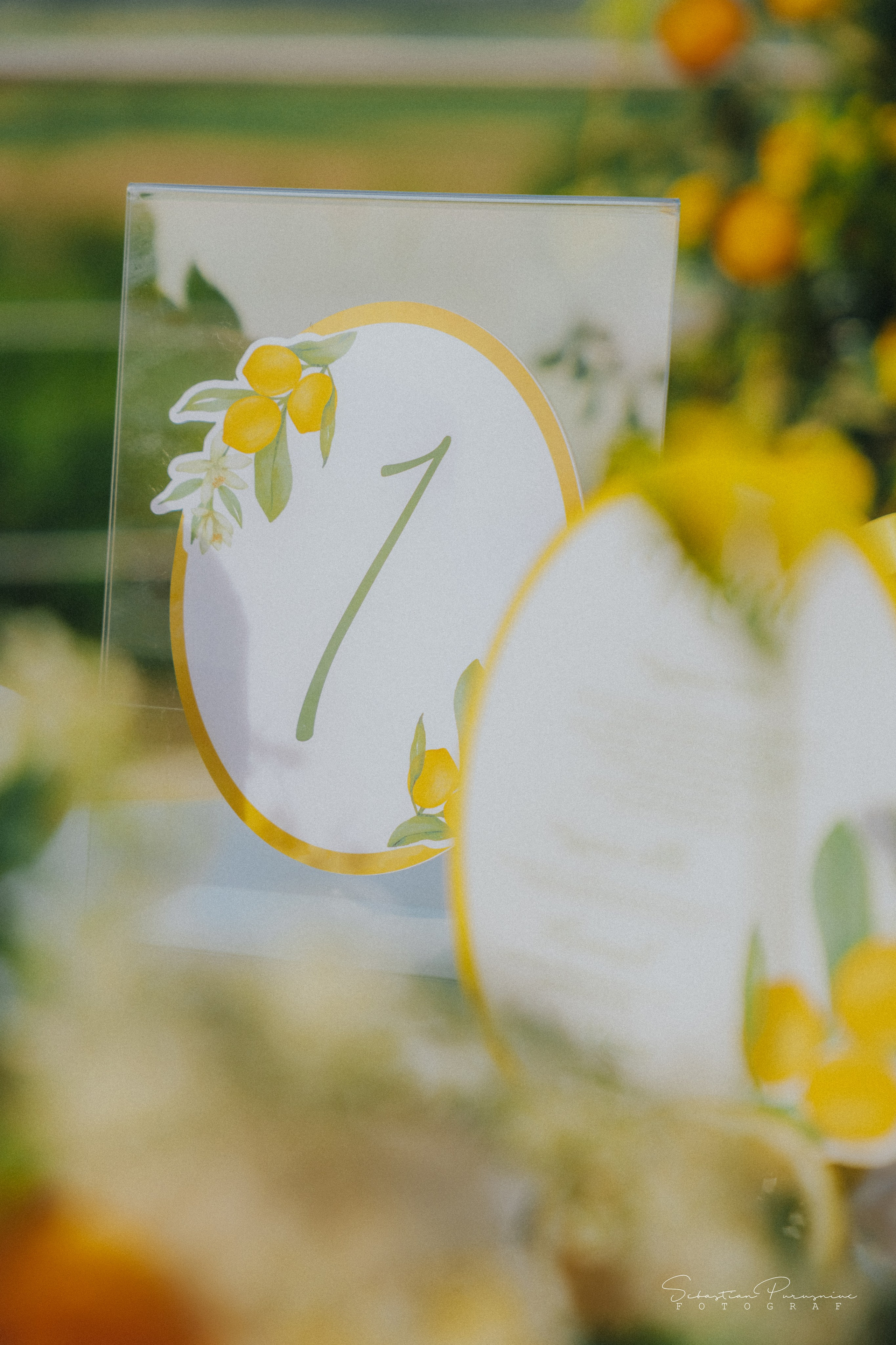 Love & Lemons. Sebastian Purusniuc Fotograf - Iasi