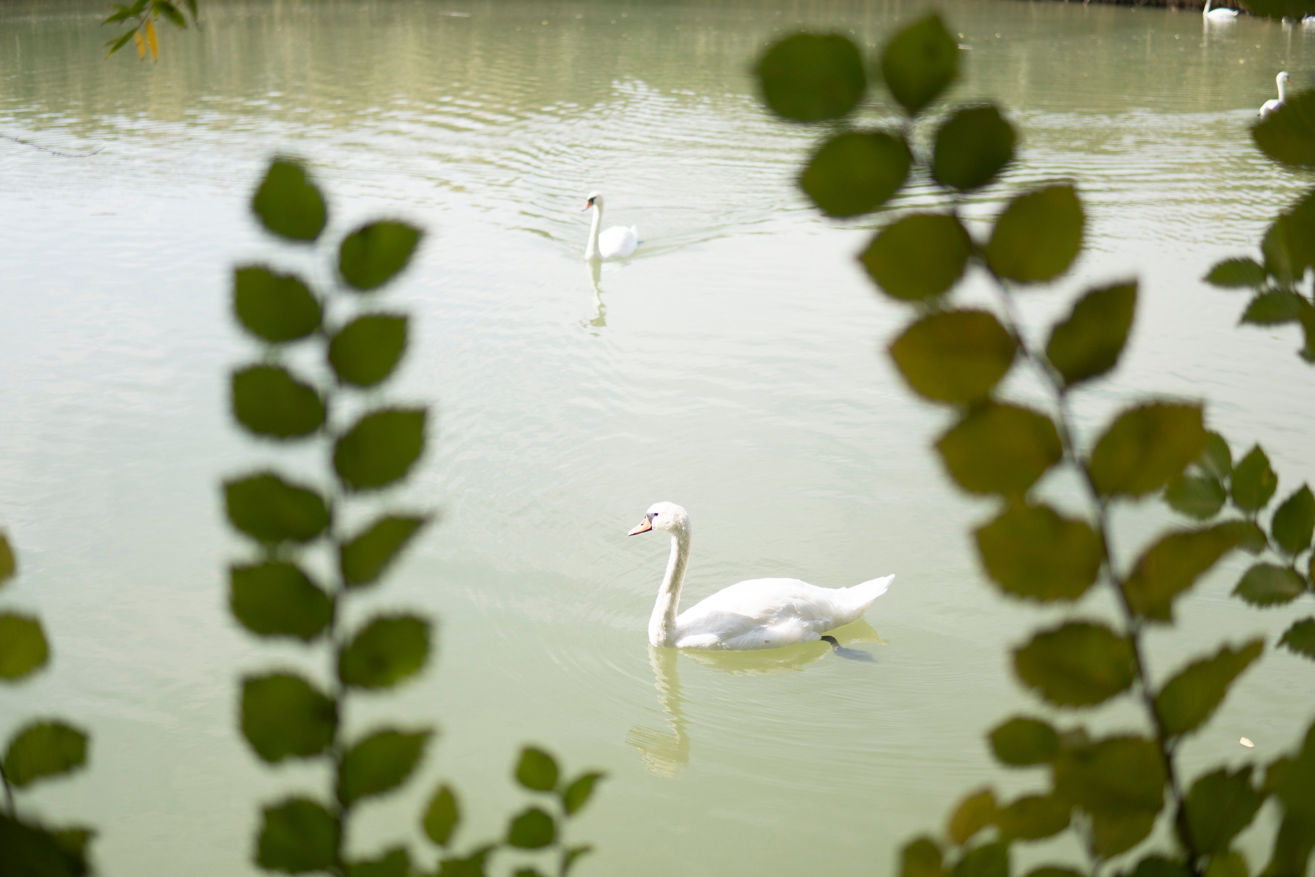 Gen U. Melikov Amir, Uzbekistan based photographer