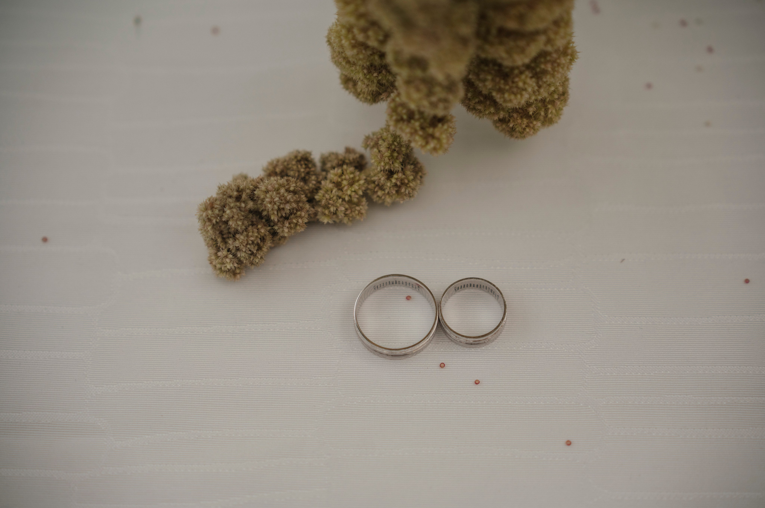 Свадьба. Фотограф Таллинн — свадьба |семья | lovestory