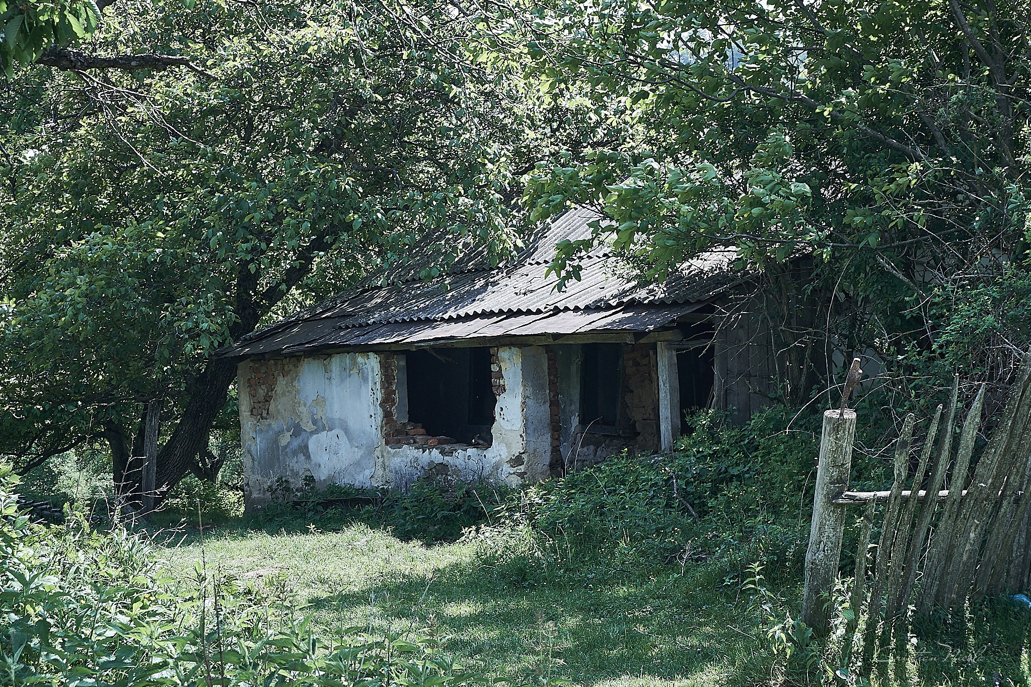 Lindenfeld, satul părăsit, jud. Caraș-Severin. Pagina principală