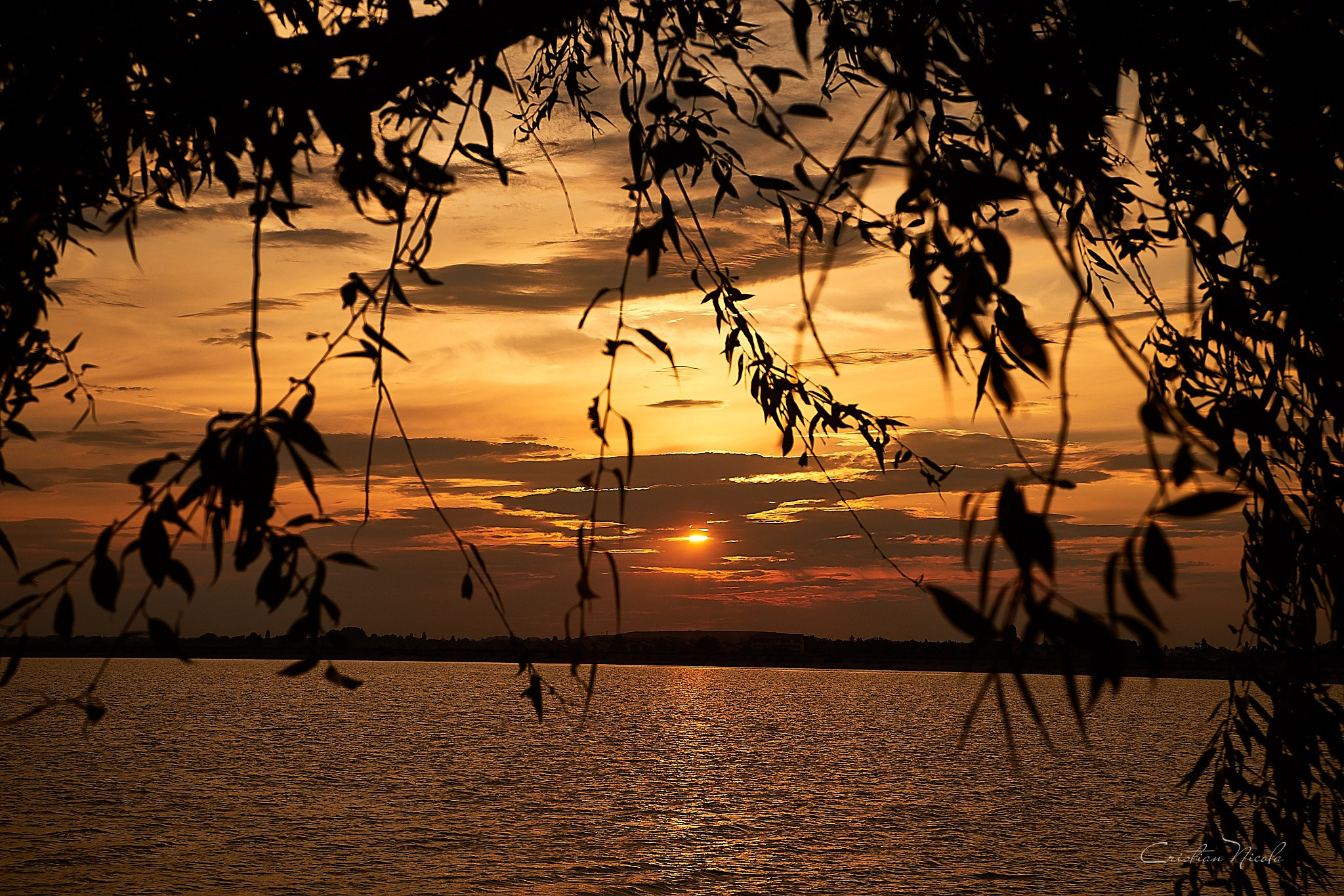 Lacul Morii, București. Pagina principală