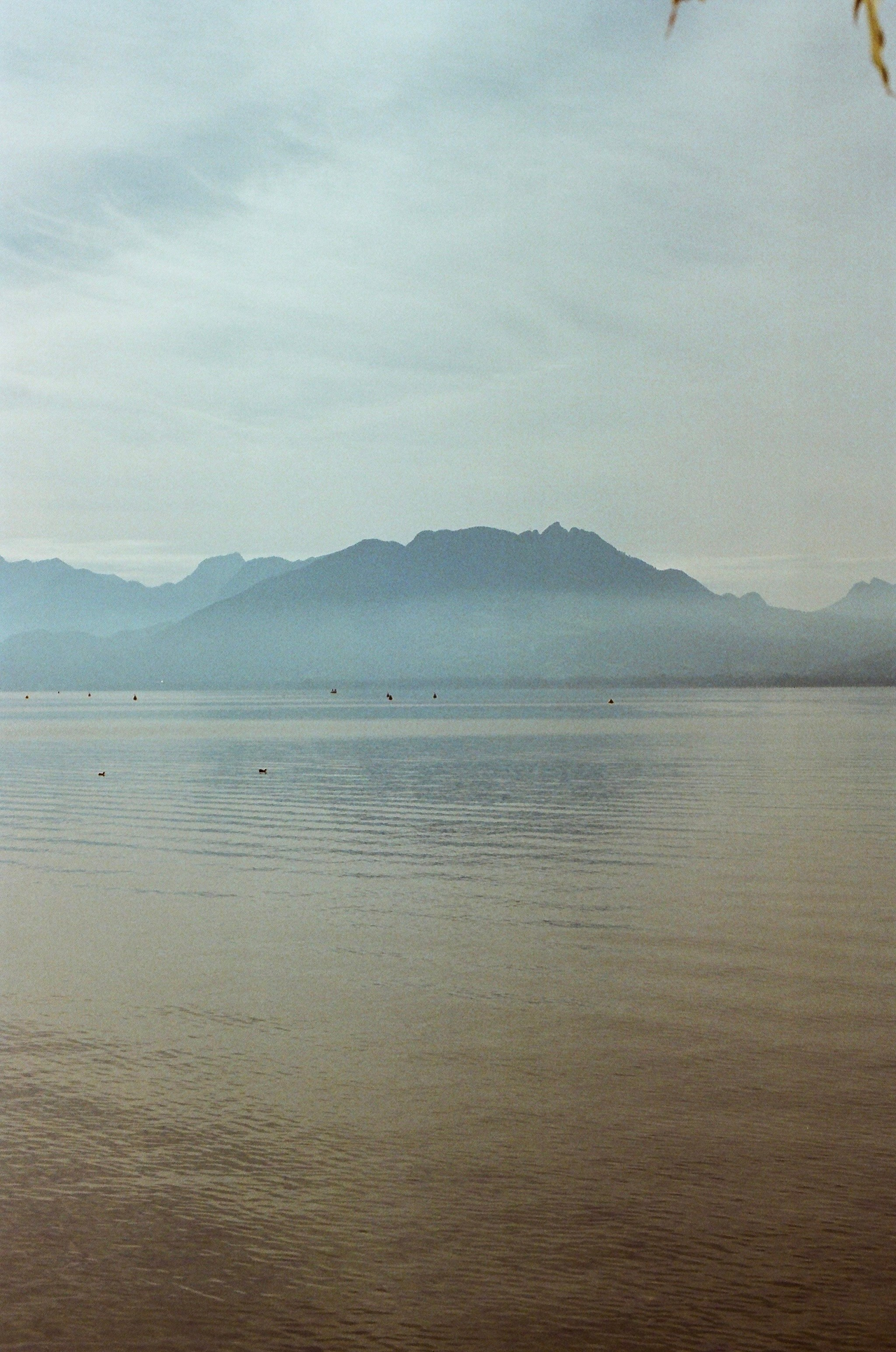 Argentique 🎞️ 📷. Anastasia Shapoval violoniste et photographe. Paris — Bourges