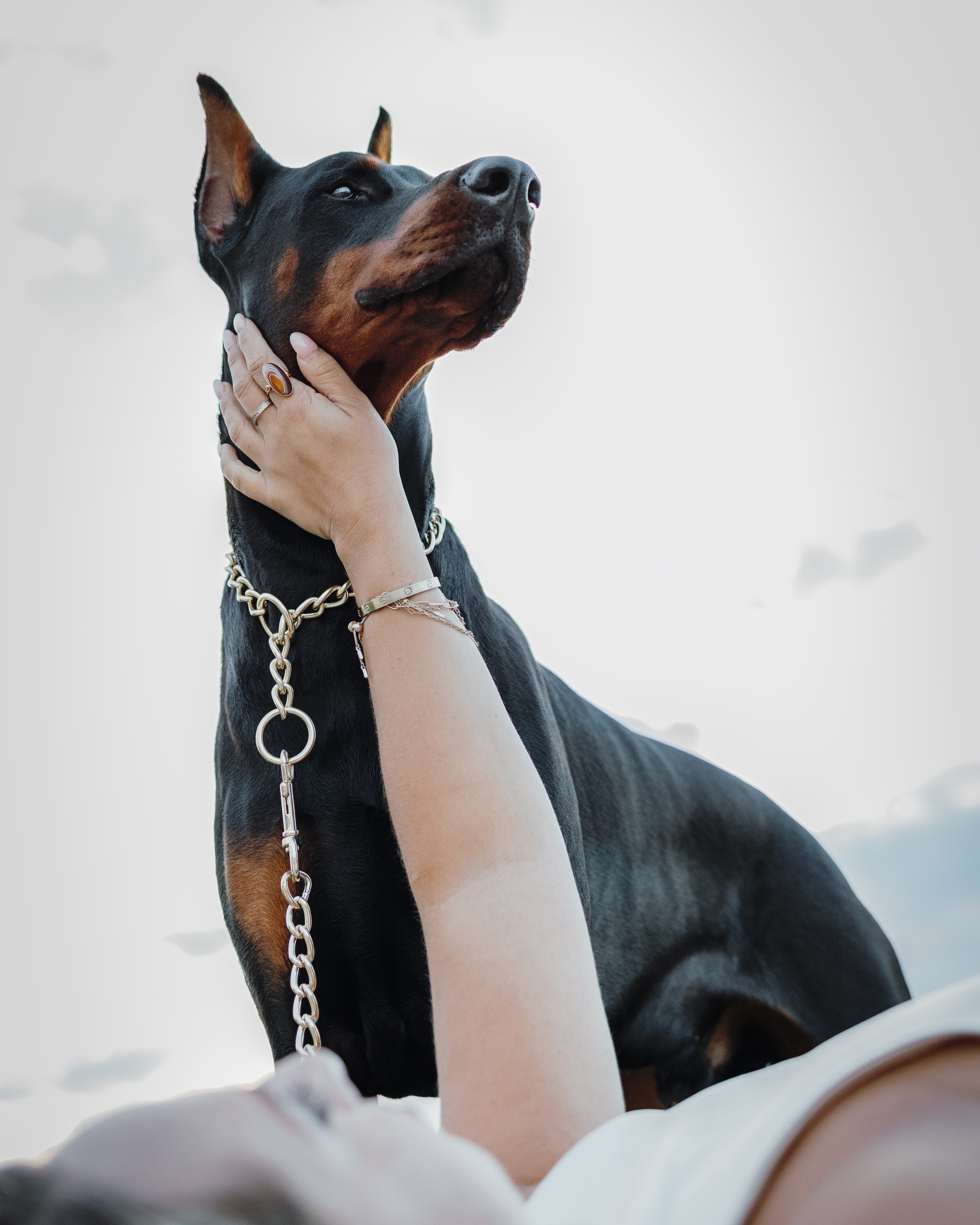 Enzo & Victoriya. Pet Photographer Viktoriya Aleshenko