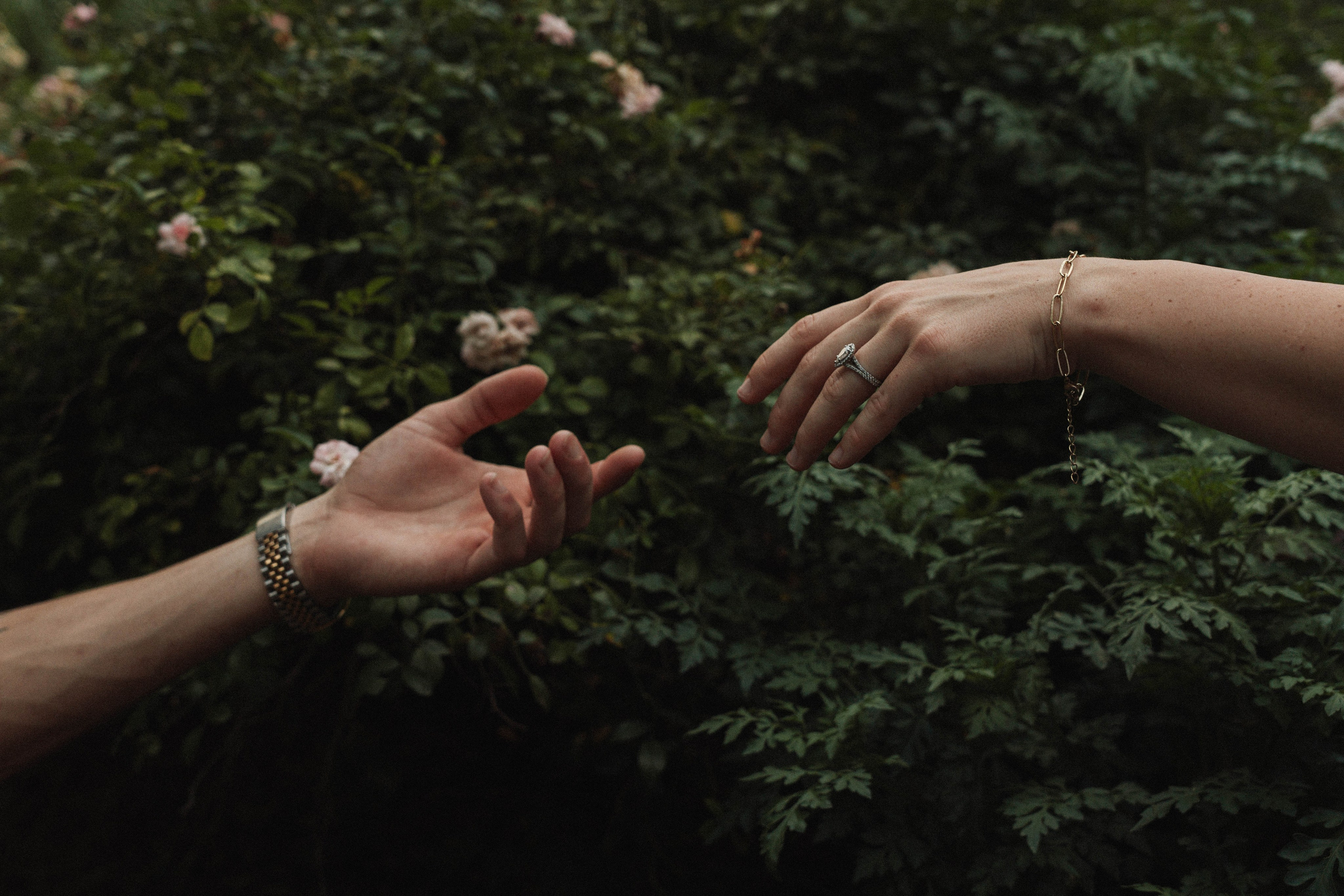 Lokke Photography | Wedding & Portrait Photographer