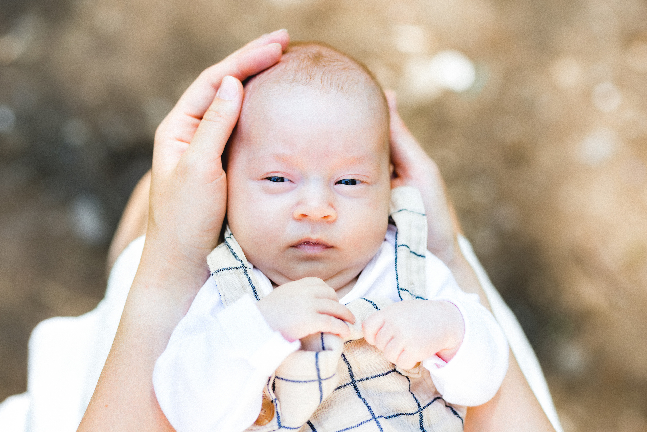 FAMILY. Maternity & family photographer in Bay Area Duhovskaya Iryna